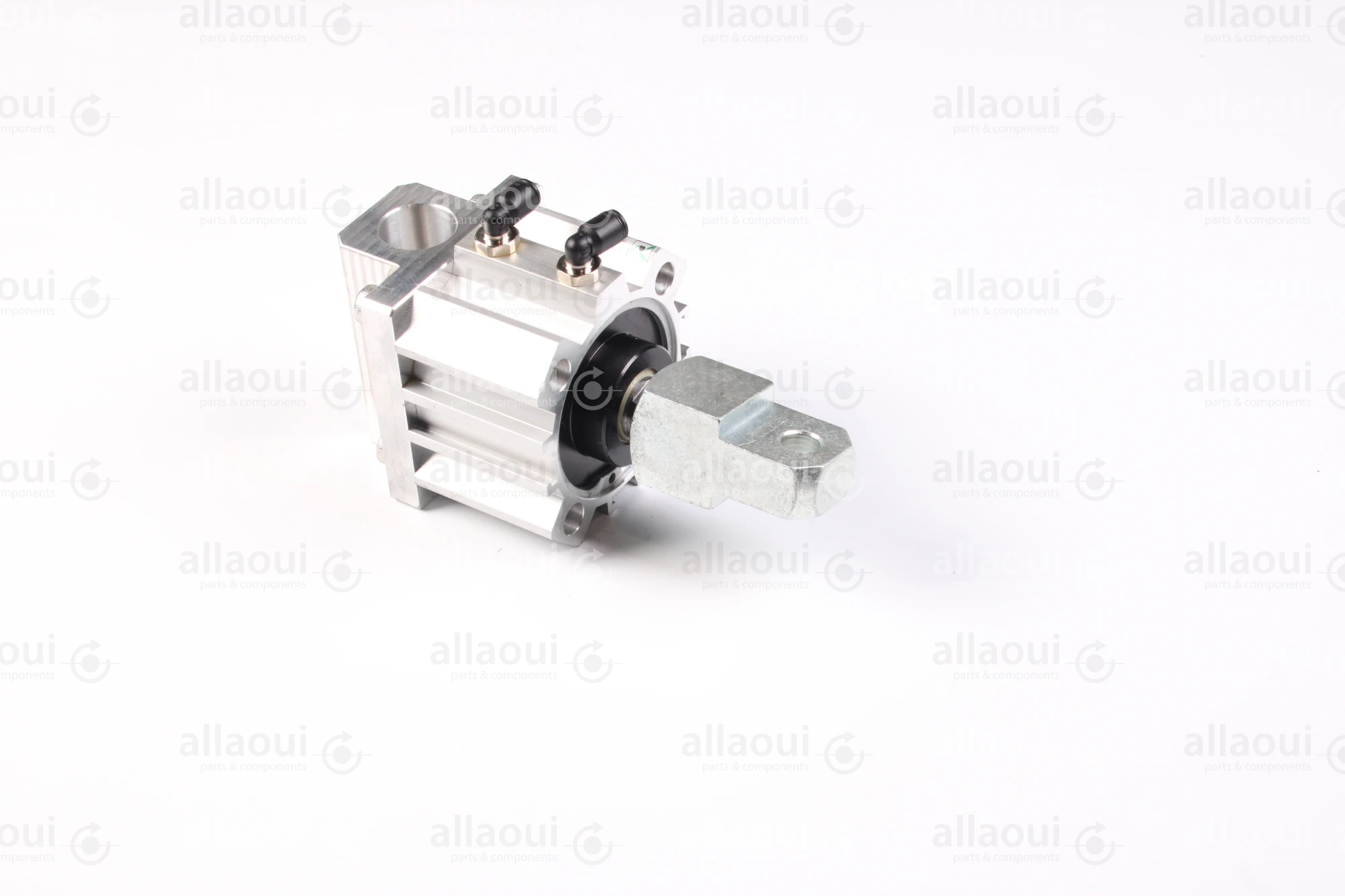 Elettra S.r.l Air Cylinder 1026650-00