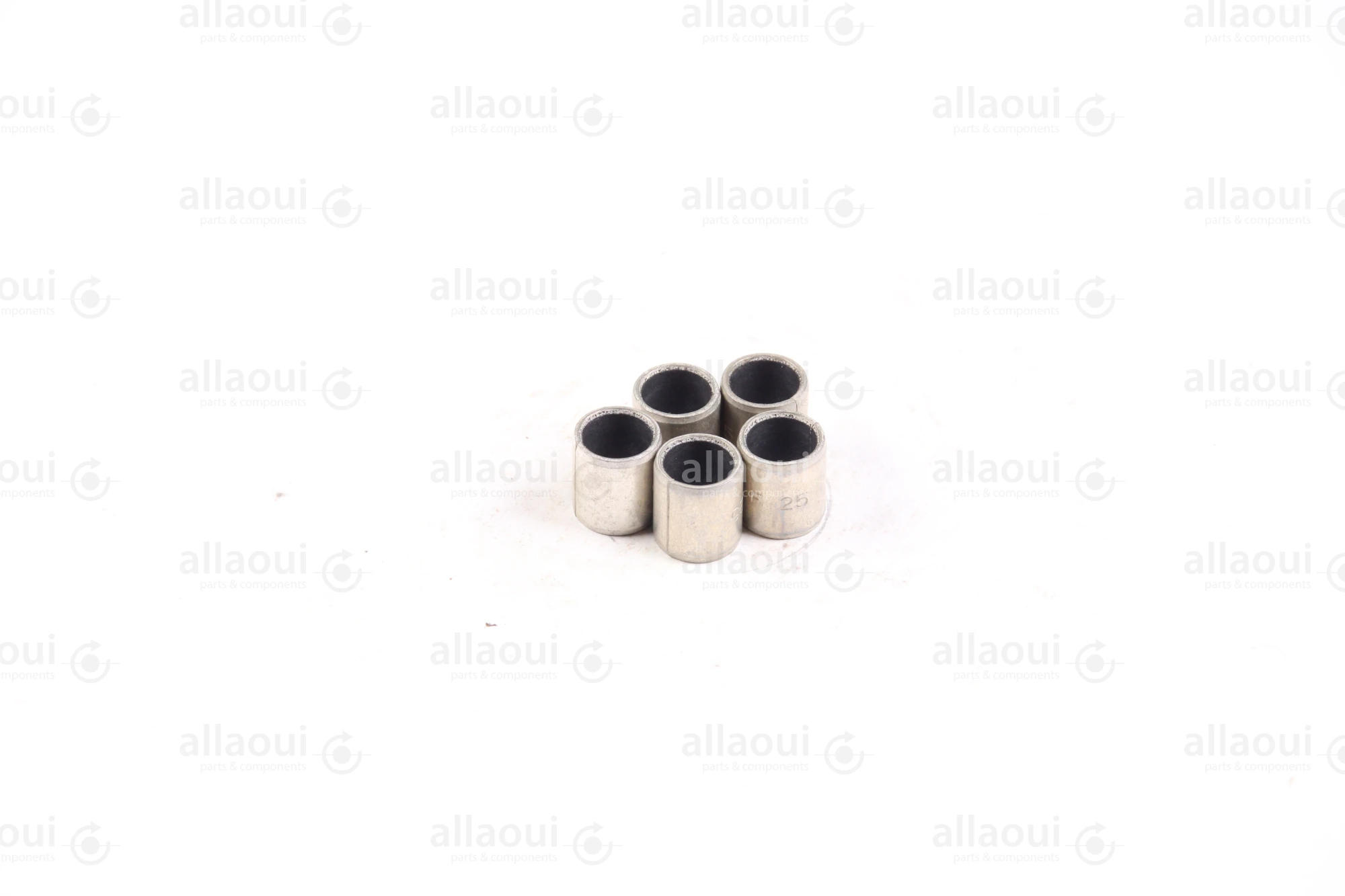 Ludwig Meister Plain Bearing Bushings (25 Pieces) 254-PG-070910-F