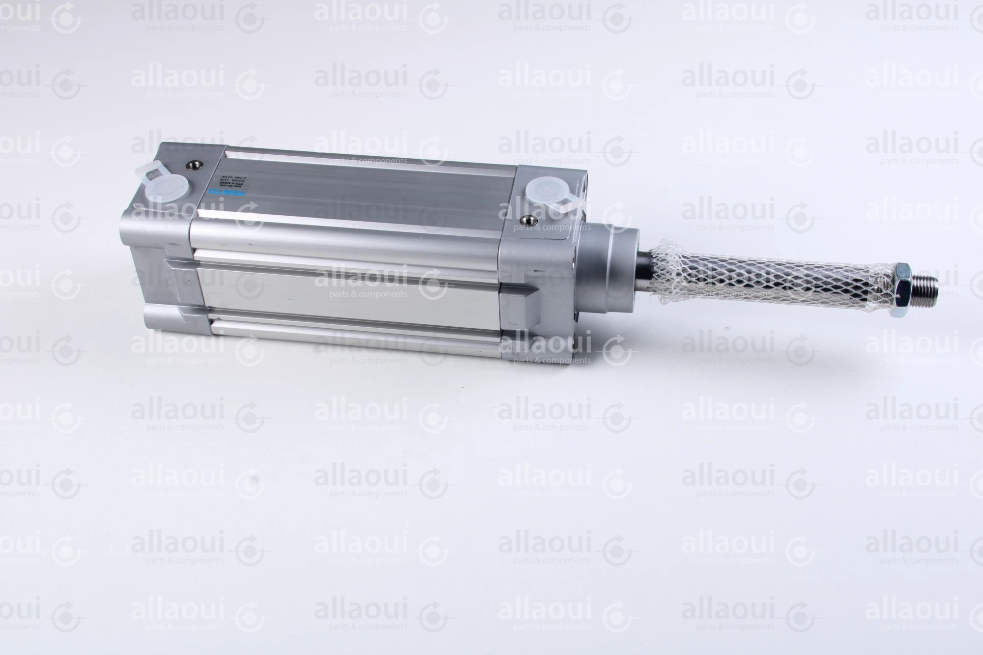 Festo Double acting standard cylinder DNC-63-100-PPV-A-100K8