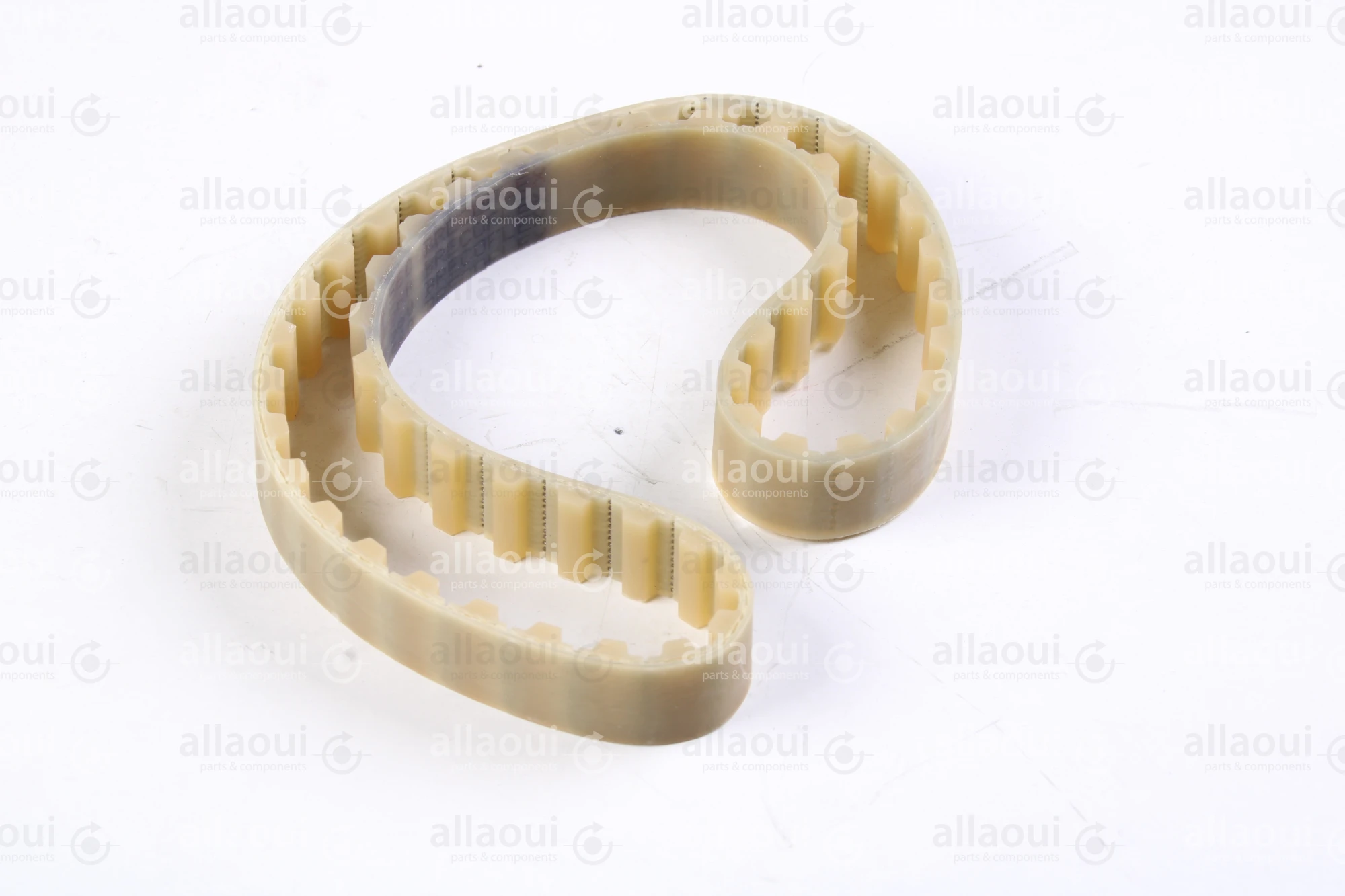 Müller Martini Toothed Belt T10-Z56 3671.1343.4