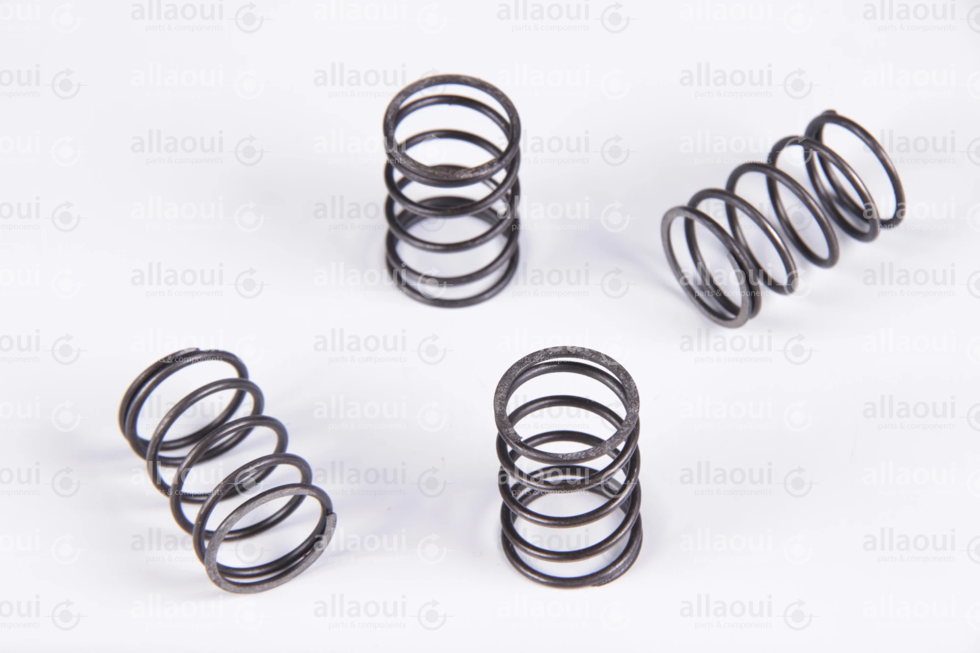 Heidelberg Spring 0034.2558