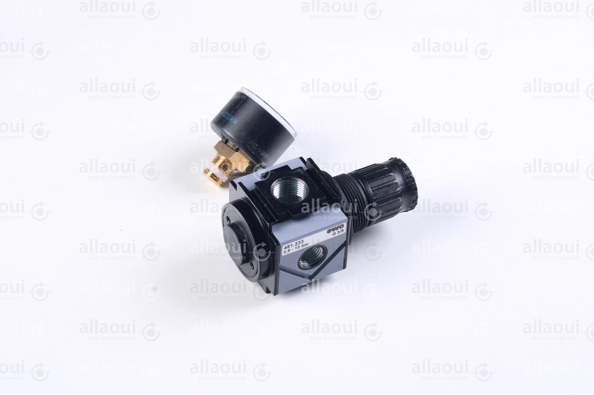EWO Pressure Regulator 481.233