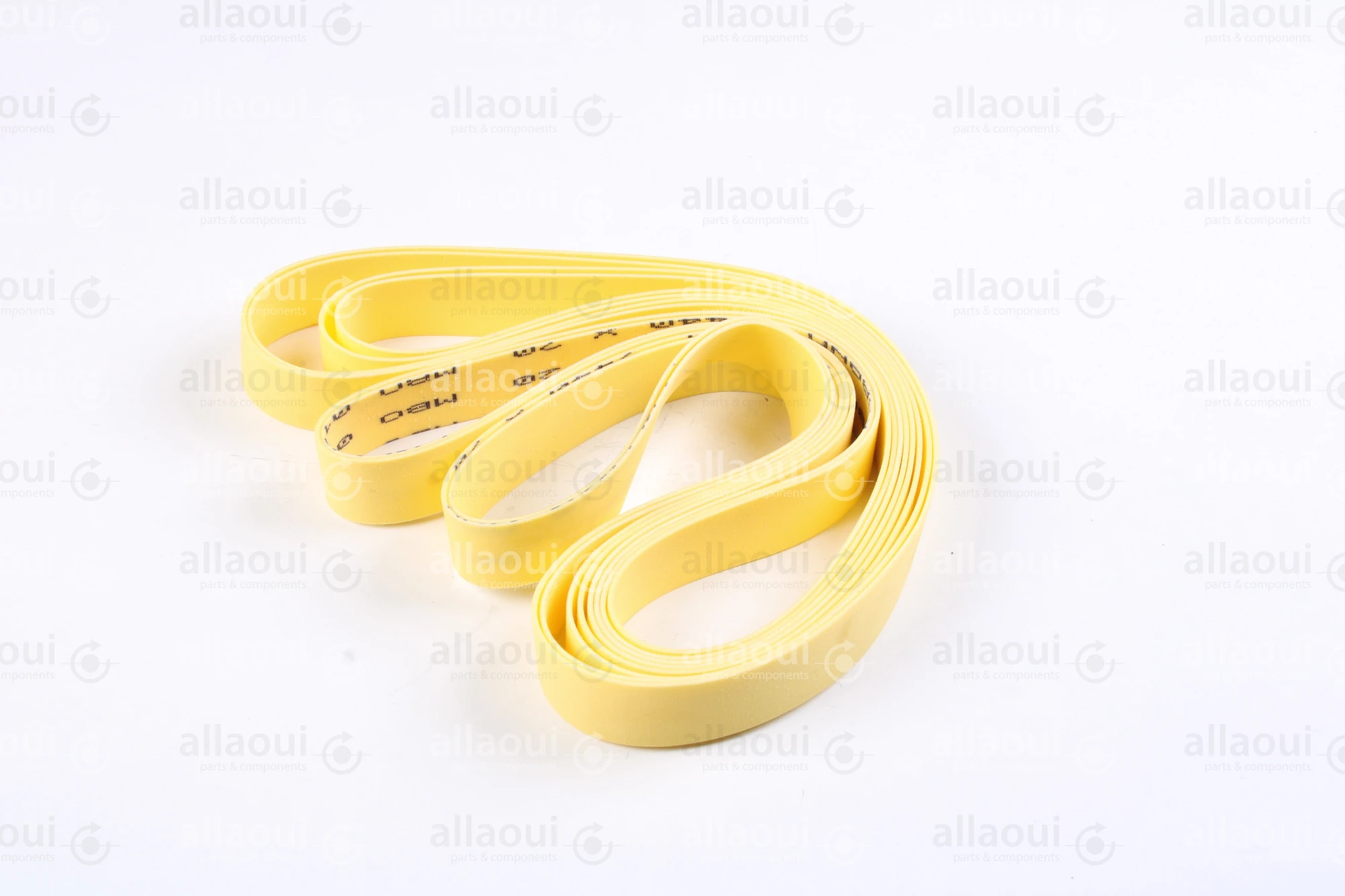 MBO Belt (2 Pieces) 0105909