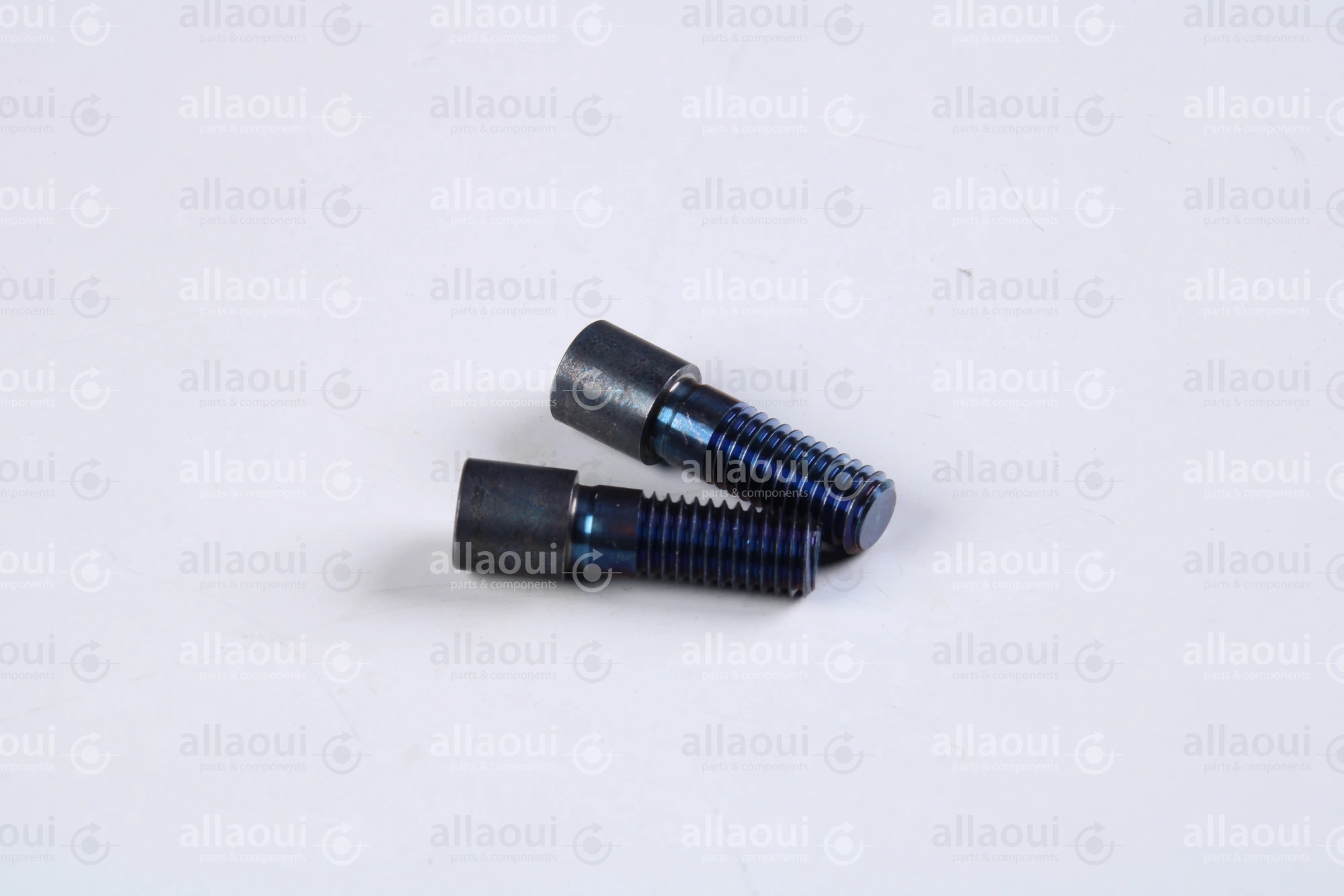 Müller Martini Bolt RD10X31 (2 Pieces) 0300.1614.4 (2 Stück)