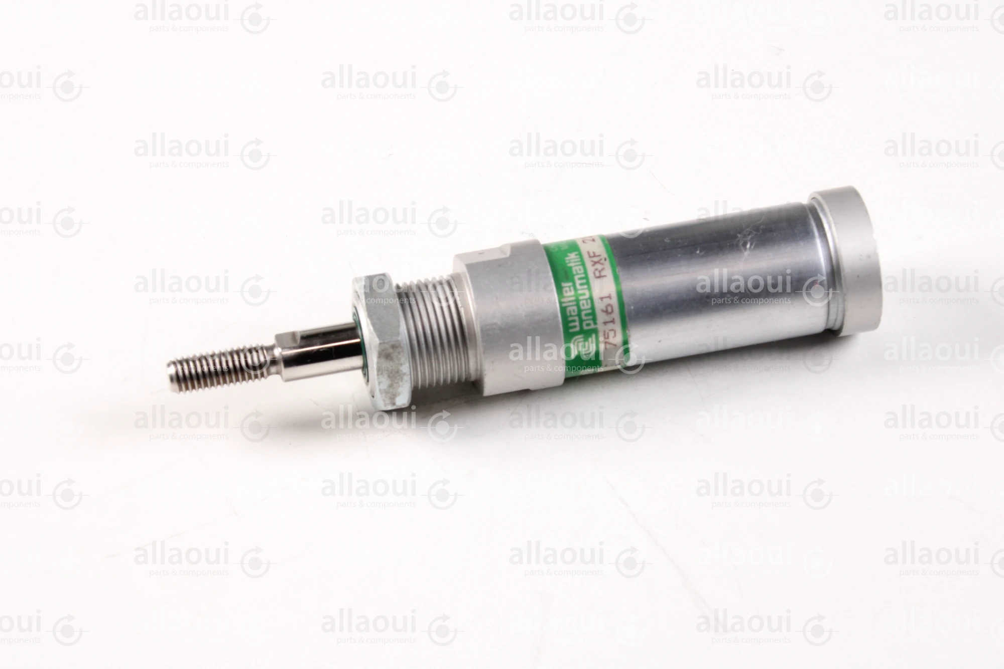 Walter Pneumatik Pneumatic Cylinder RXF-21-25-25-006