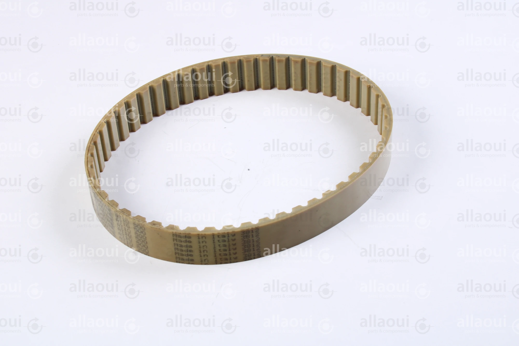Müller Martini Timing Belt 3646.1267.4