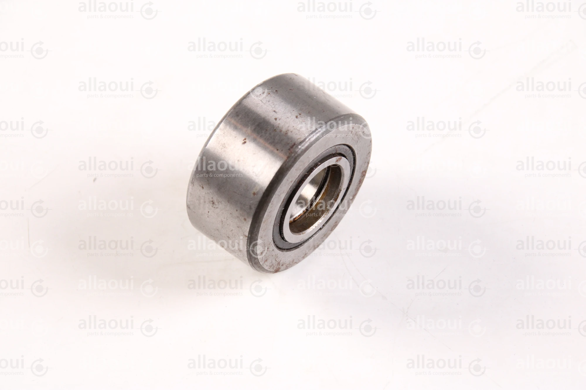 INA Supporting Roller NUTR17