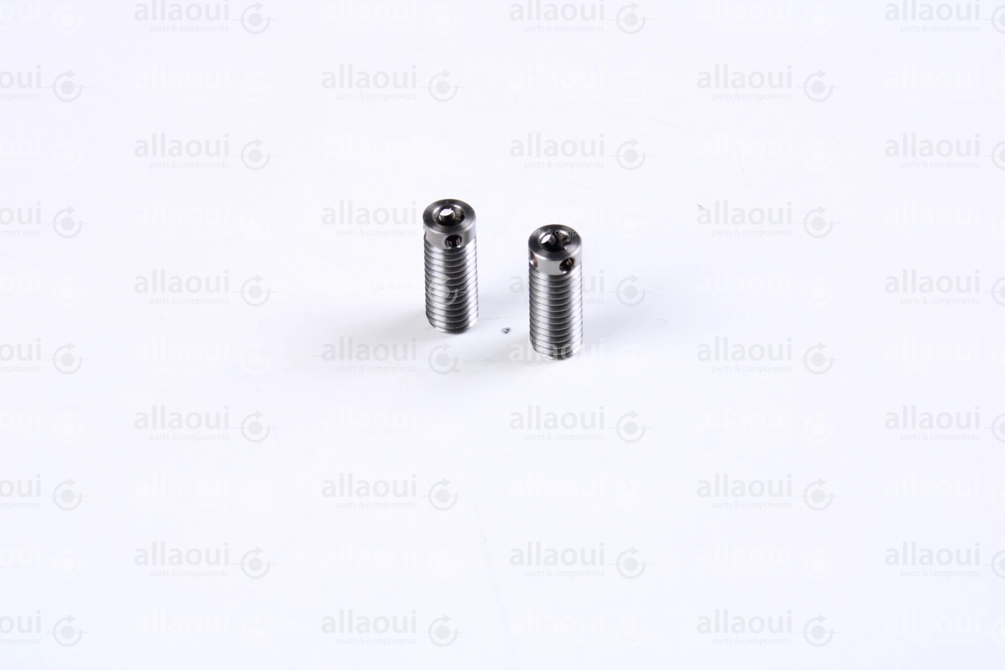 Müller Martini Screw (2 Pieces) 3675.2556.4 (2 Stück)