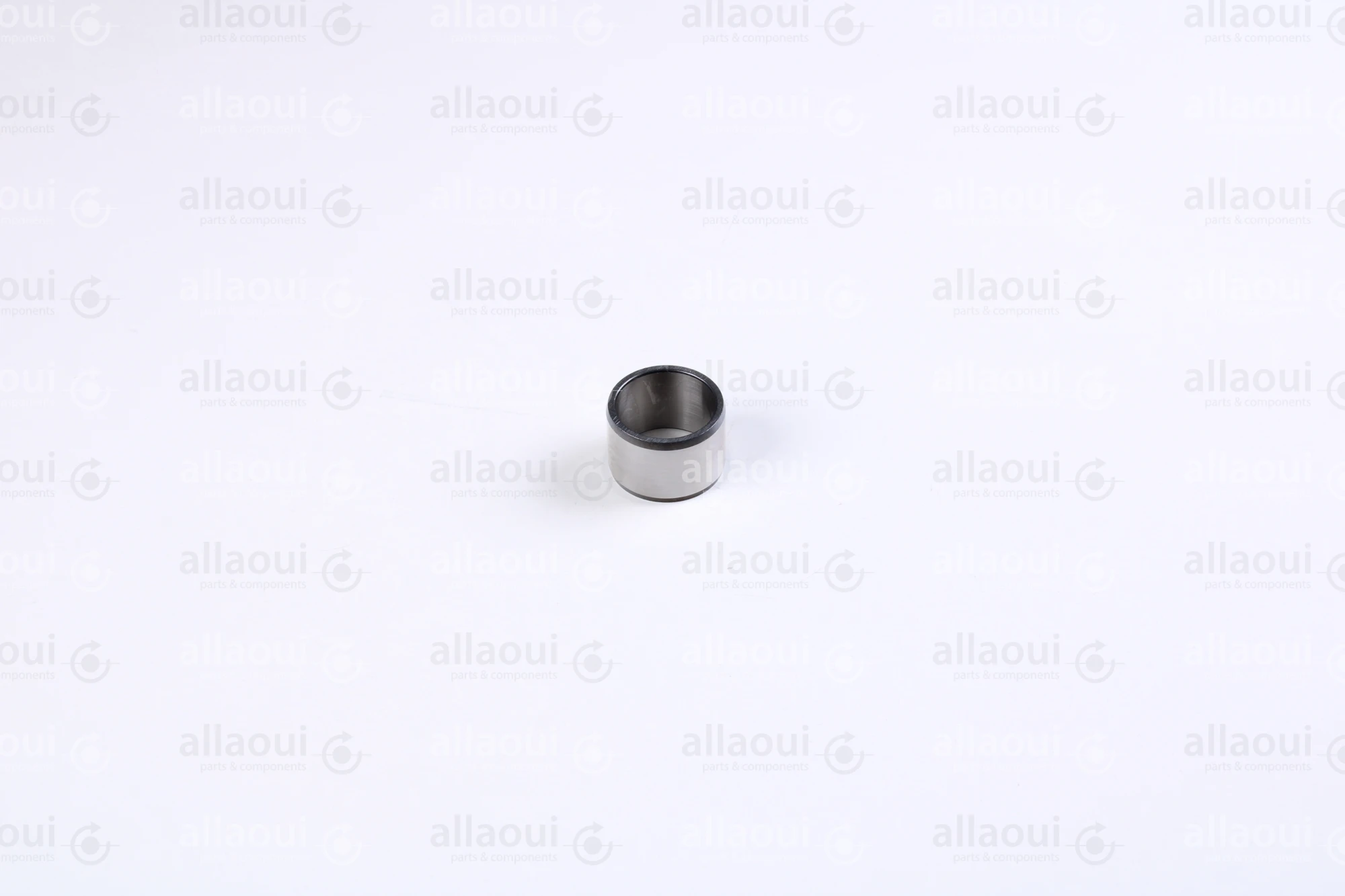 INA Inner Ring 000021628-0000