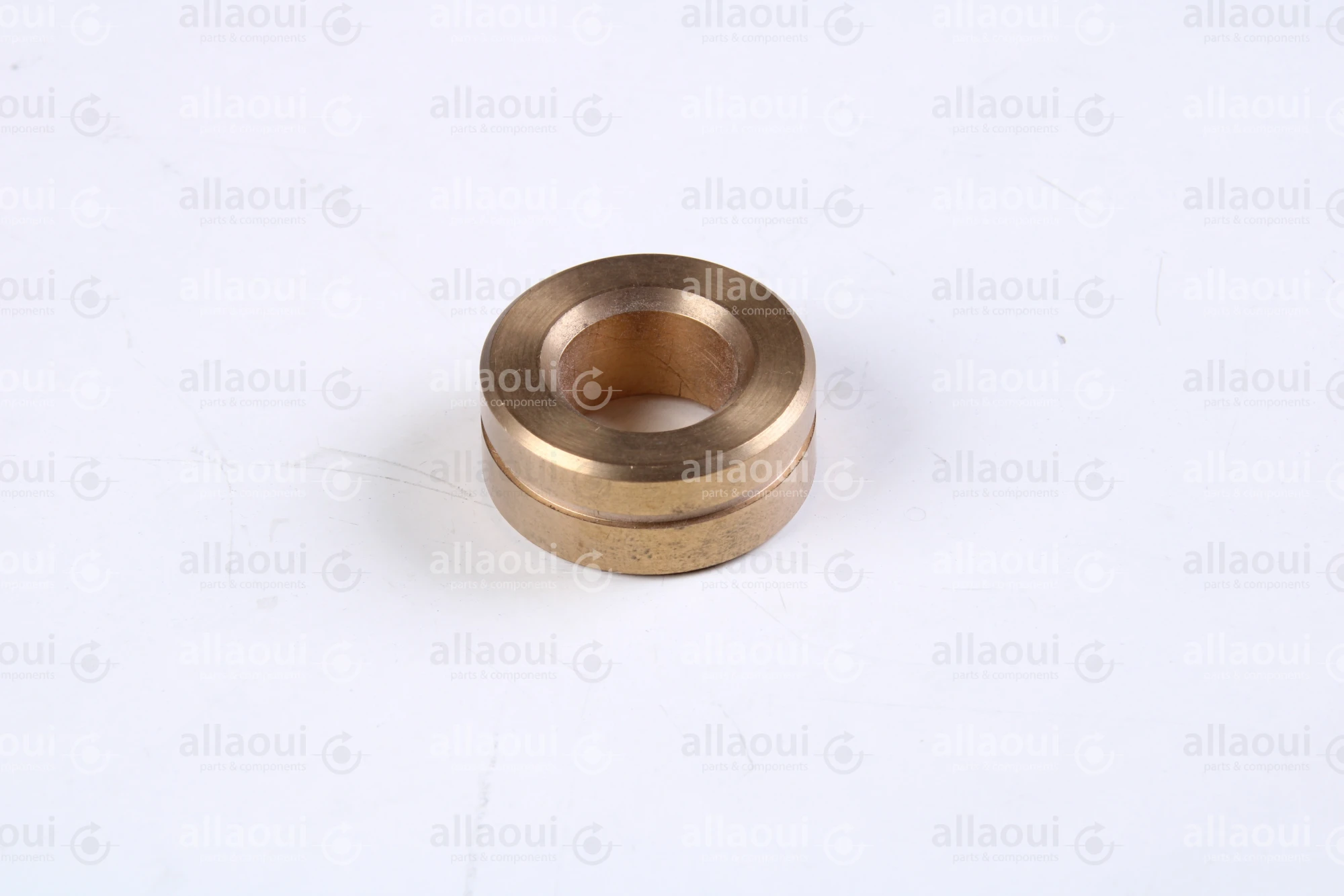 Polar Bearing bushing 448355