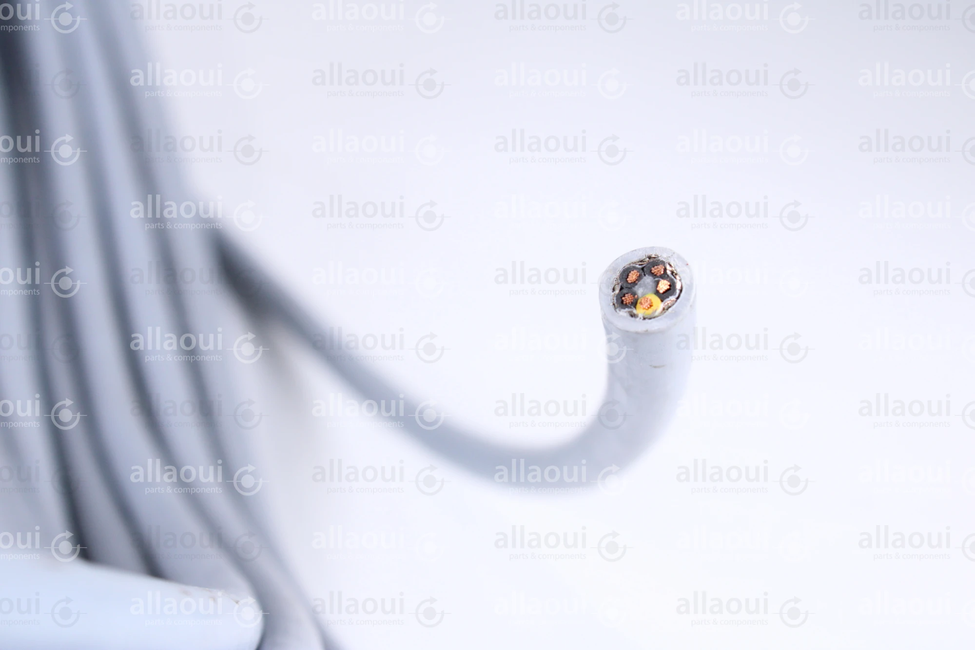 Contiweb Cable Shieldded WH.095076704