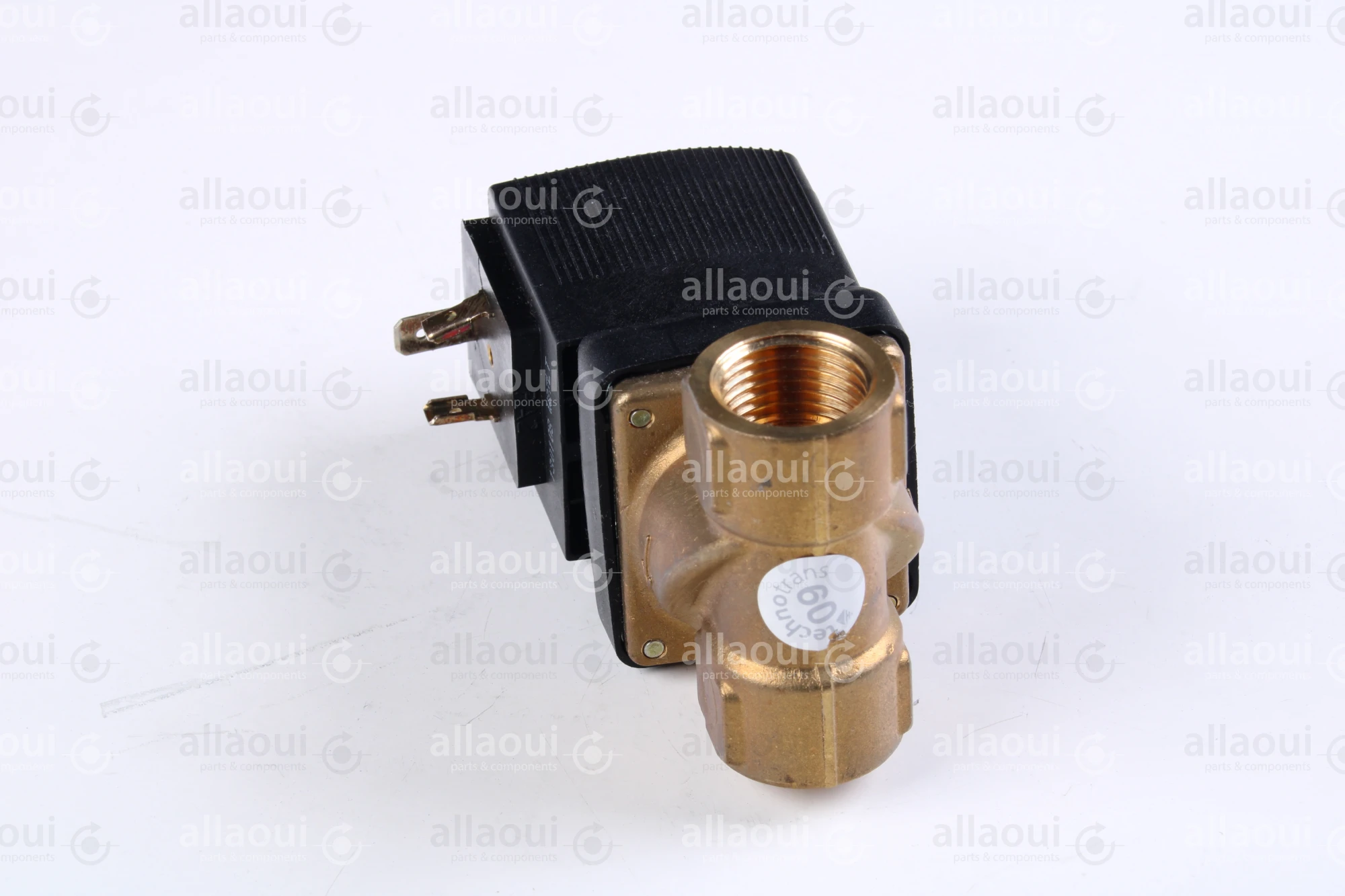 Technotrans Solenoid Valve 00176690
