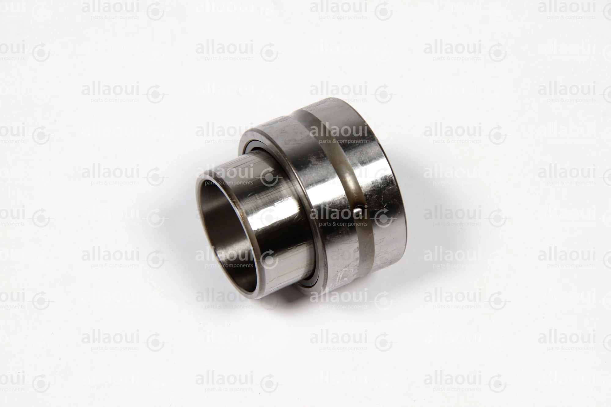 INA Roller Bearing NKI25/20