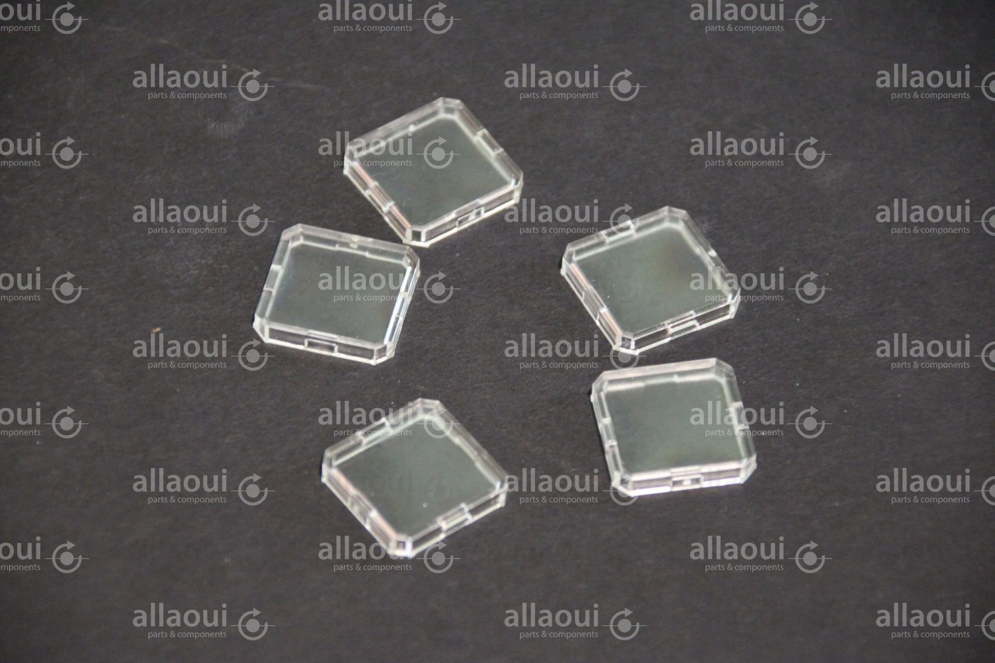 Koenig & Bauer (KBA) Key flap (5 Pieces) L0759718