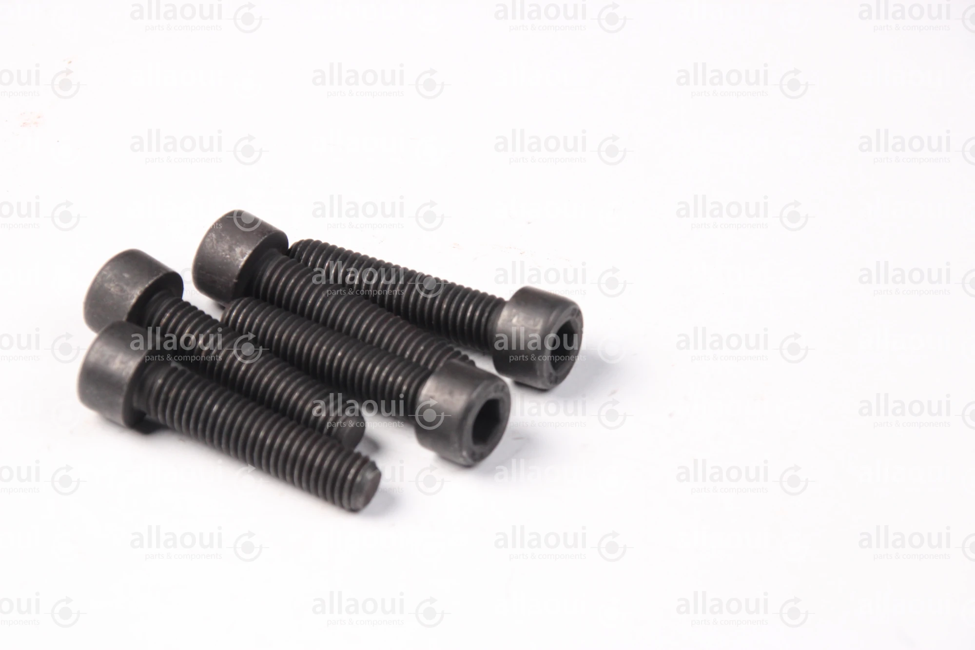 Manroland Cylinder Screw (5 pieces) 06.02093-0411