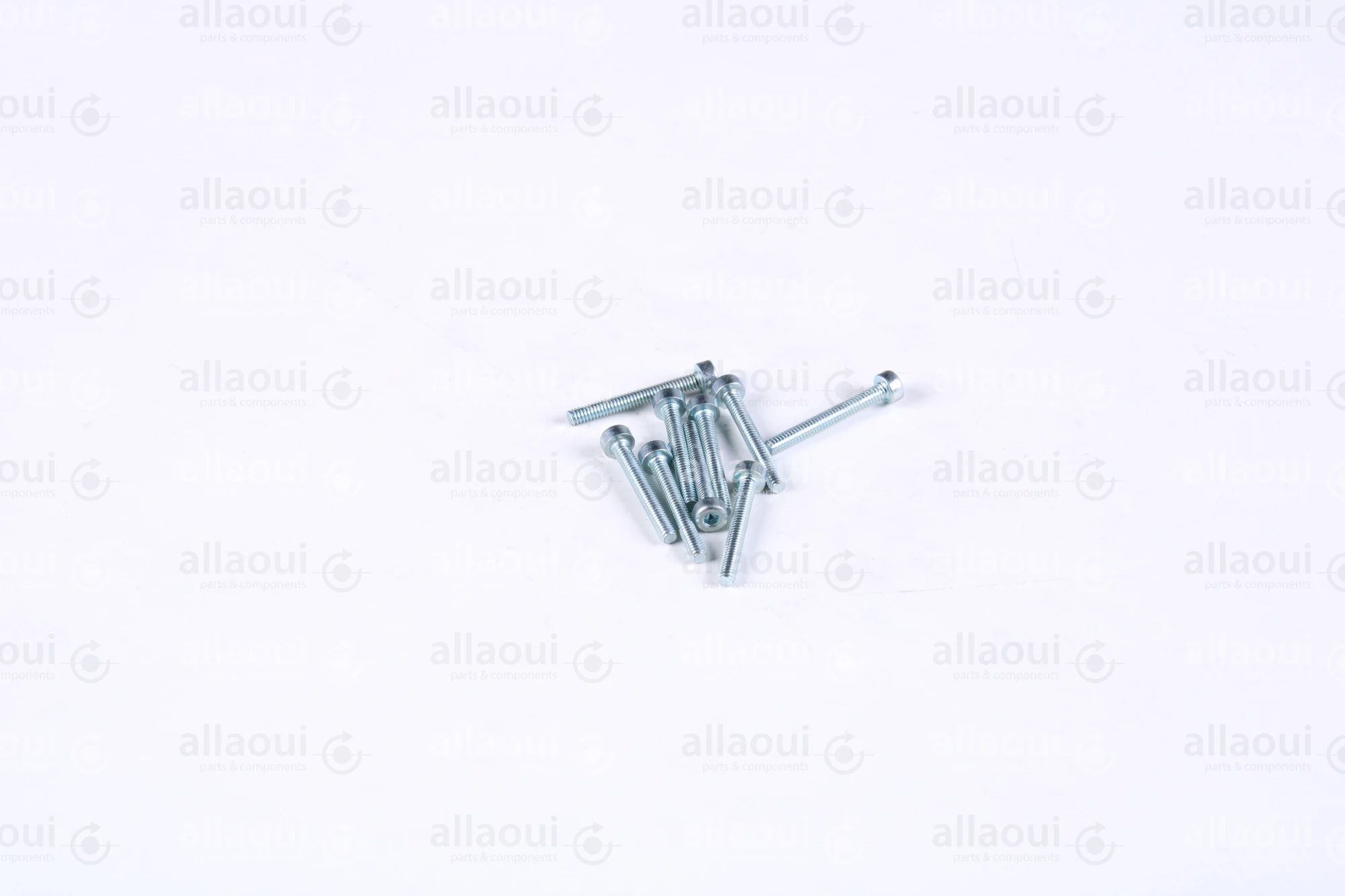 Müller Martini Allen Head Cyl Screw M2X16 (9 Pieces) 0030.0136