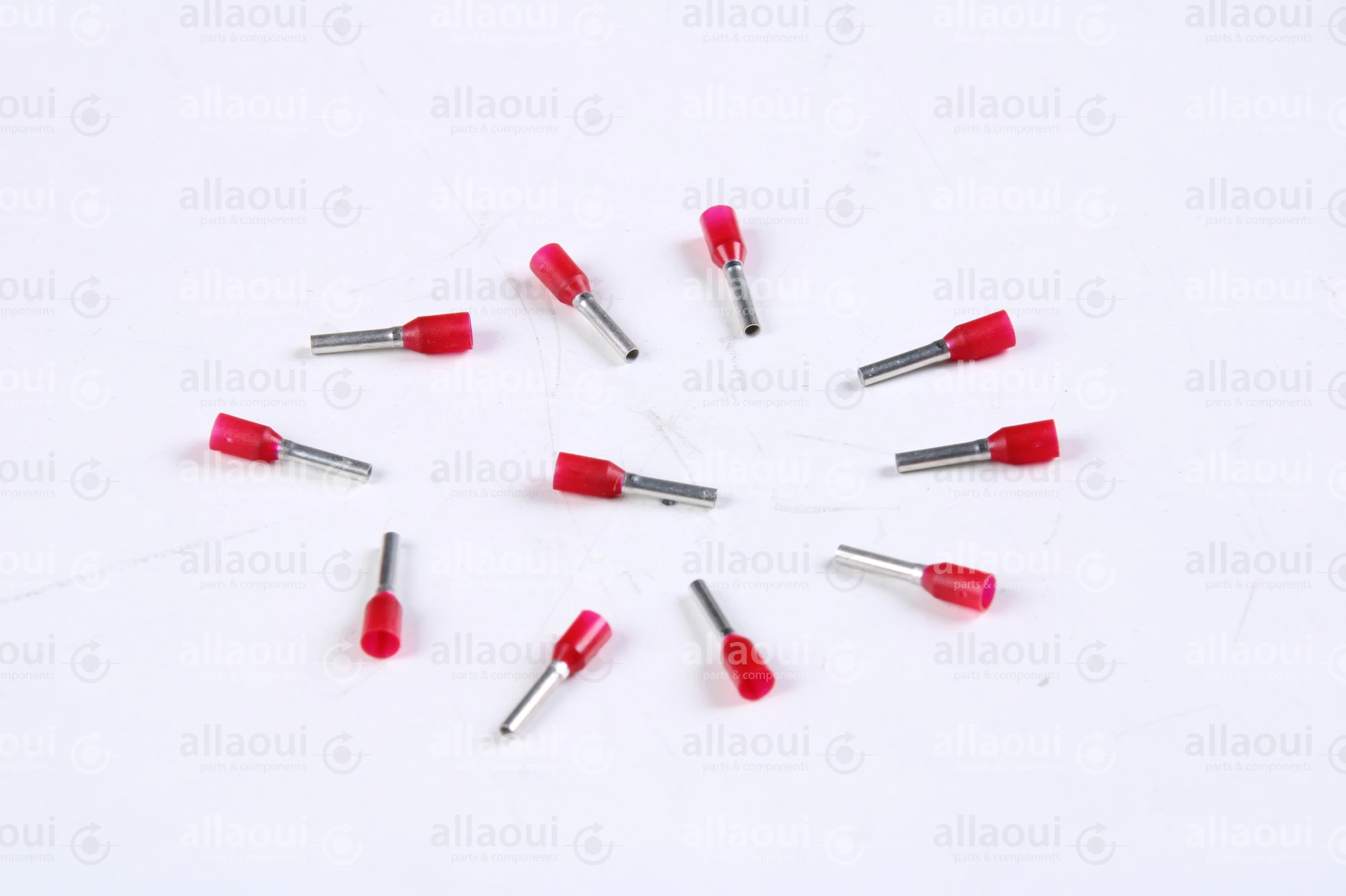 Koenig & Bauer (KBA) End-Fitting (11 Pieces) L0721812