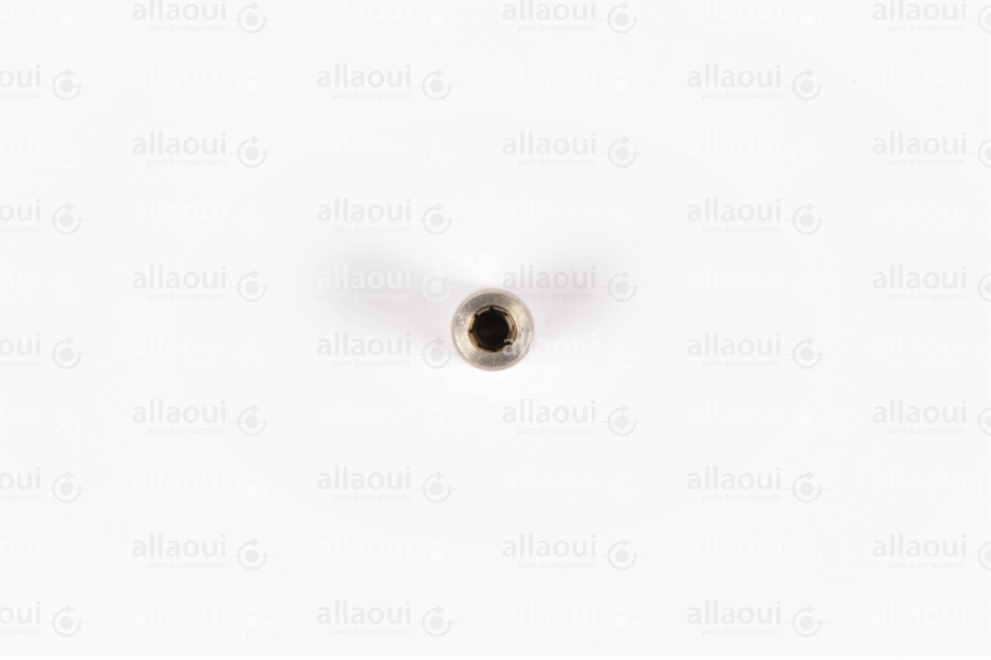 Heidelberg Hose coupling 633-0404 00.580.3661