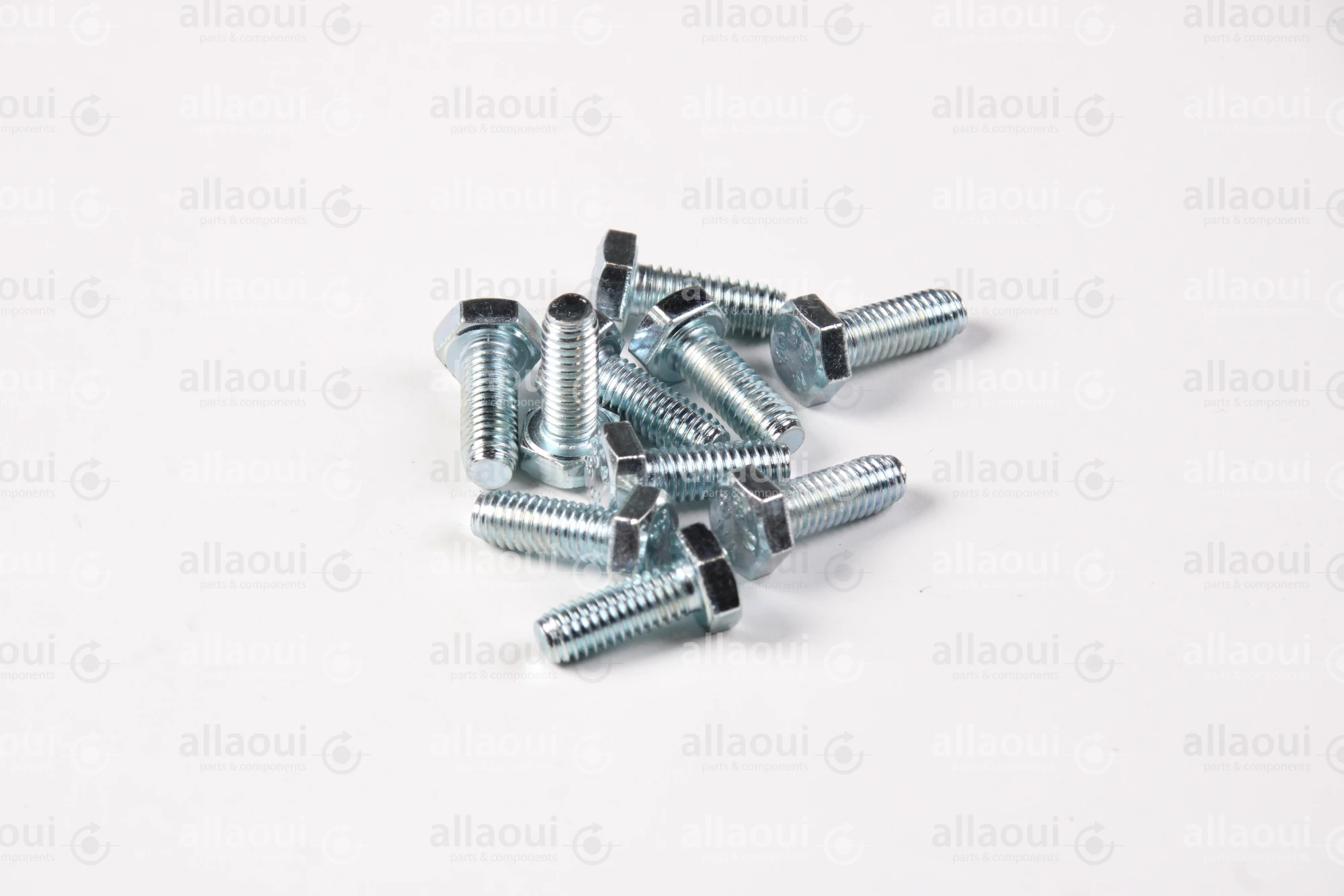 Contiweb Screw (10 Pieces) WH.100147002
