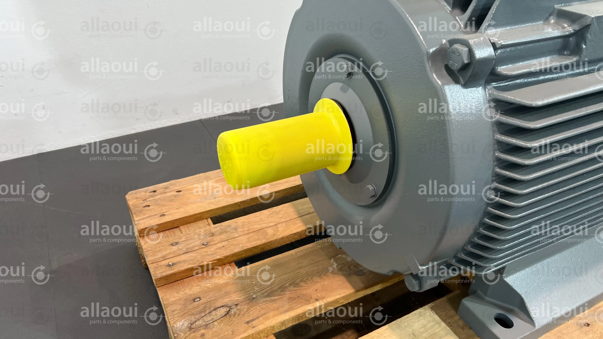 VEM Motor IE2-WE1R 280M 4 LL TPM HW