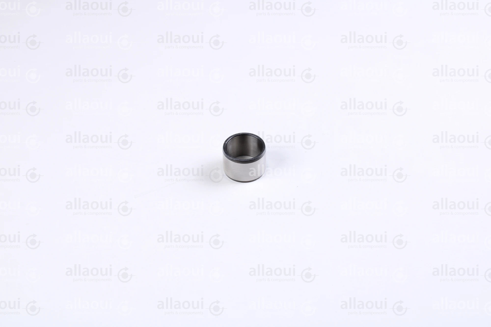 INA Inner Ring 000021628-0000