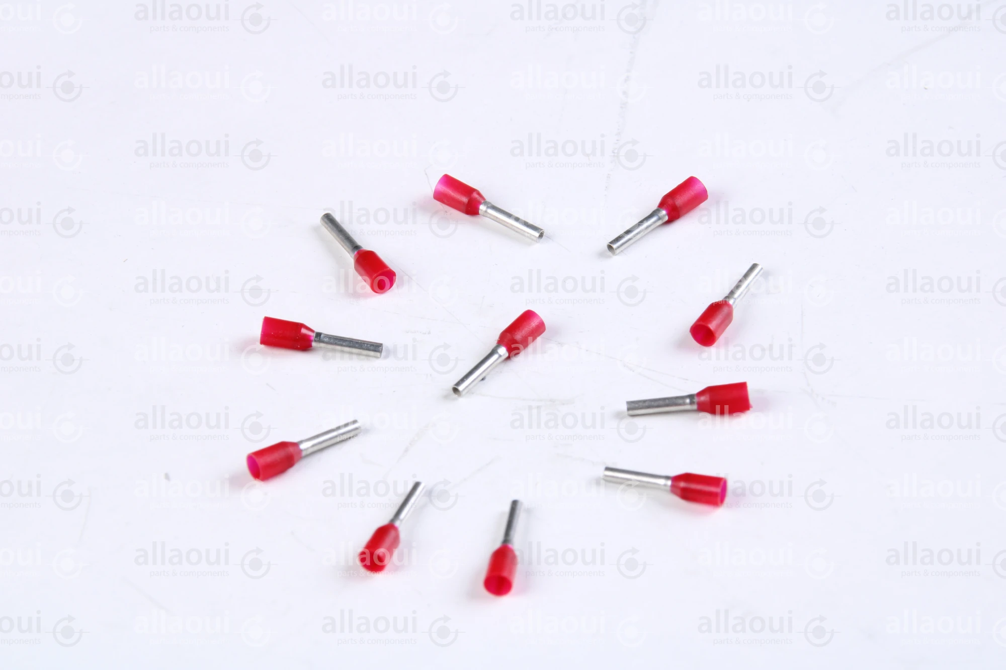 Koenig & Bauer (KBA) End-Fitting (11 Pieces) L0721812