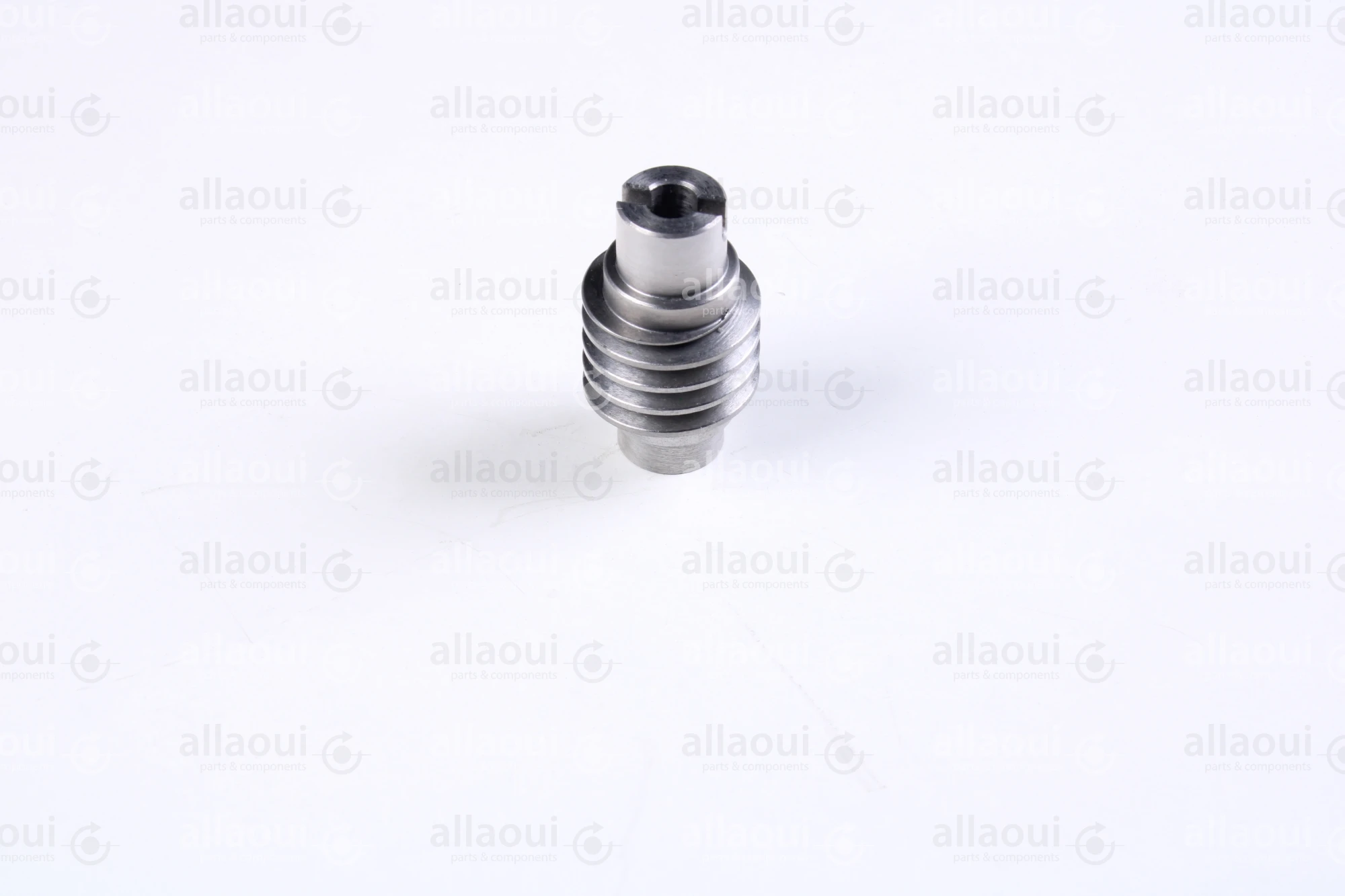 Gämmerler Worm shaft 23599