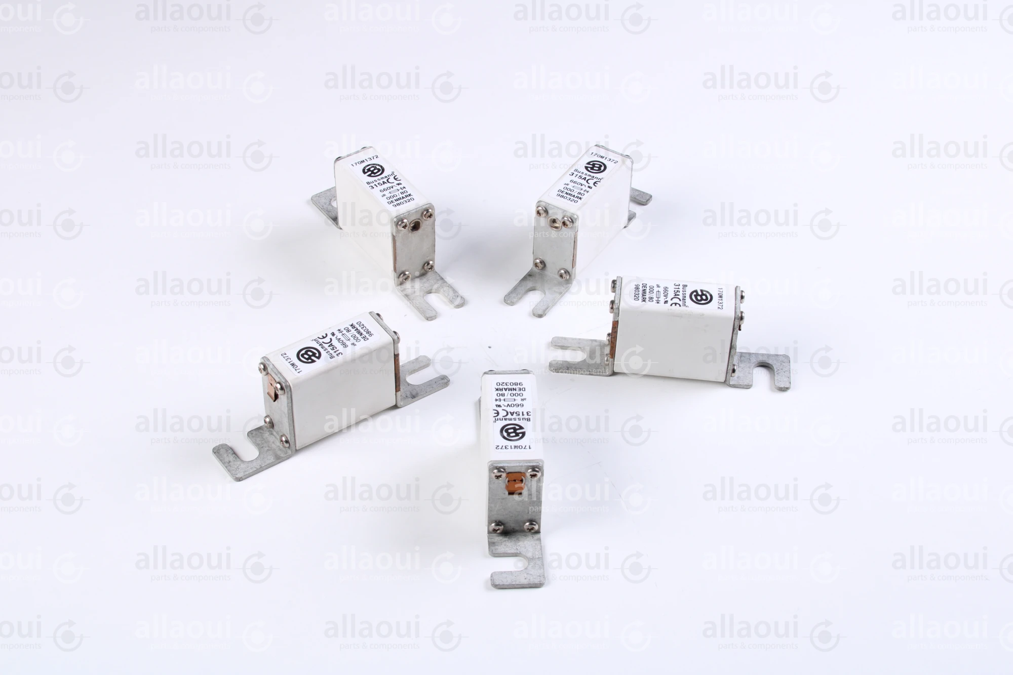 Bussmann Fuse 315A 660V (5 Pieces) 170 M 1372