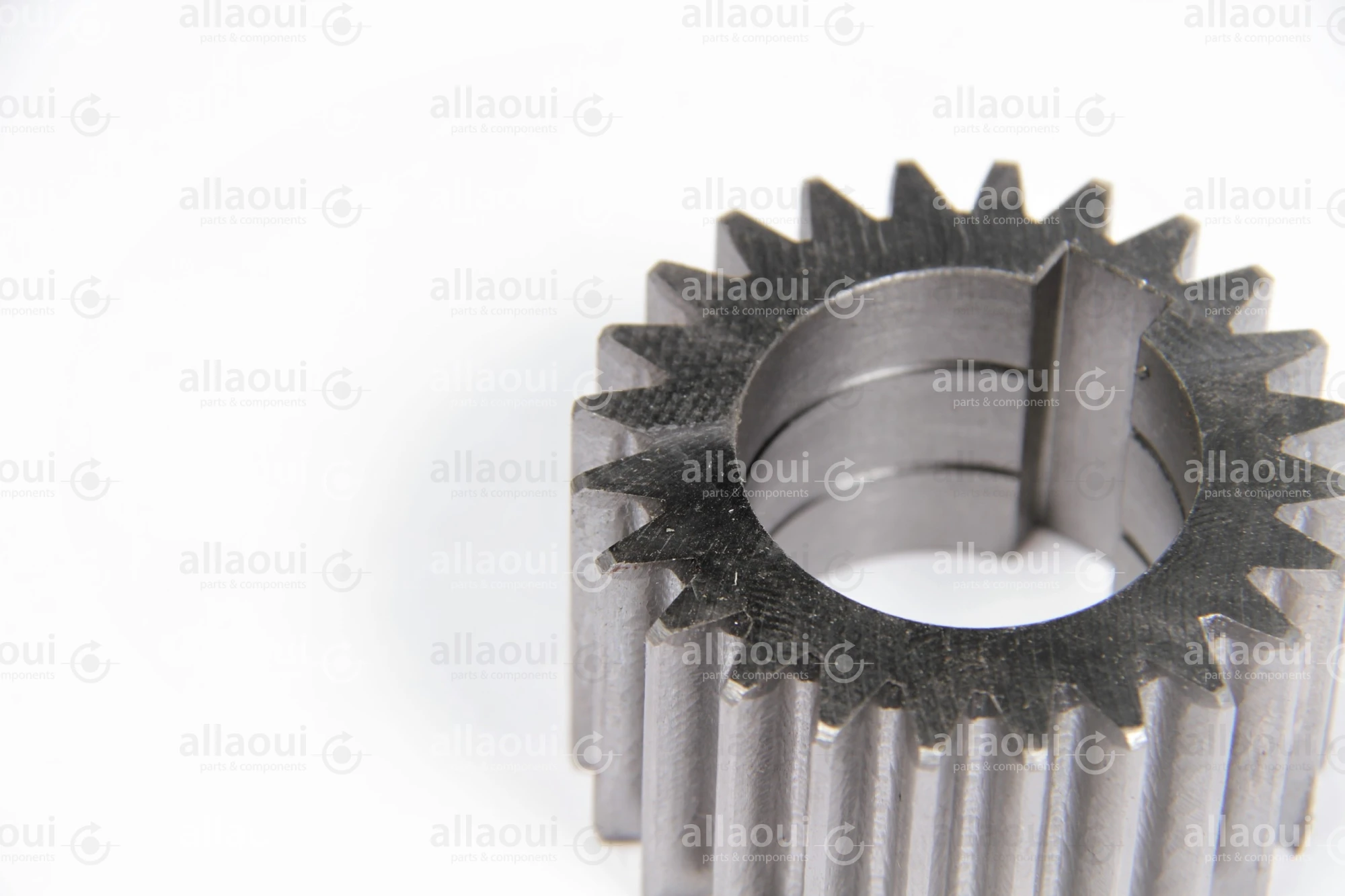 Müller Martini Gear 3738.1241.4