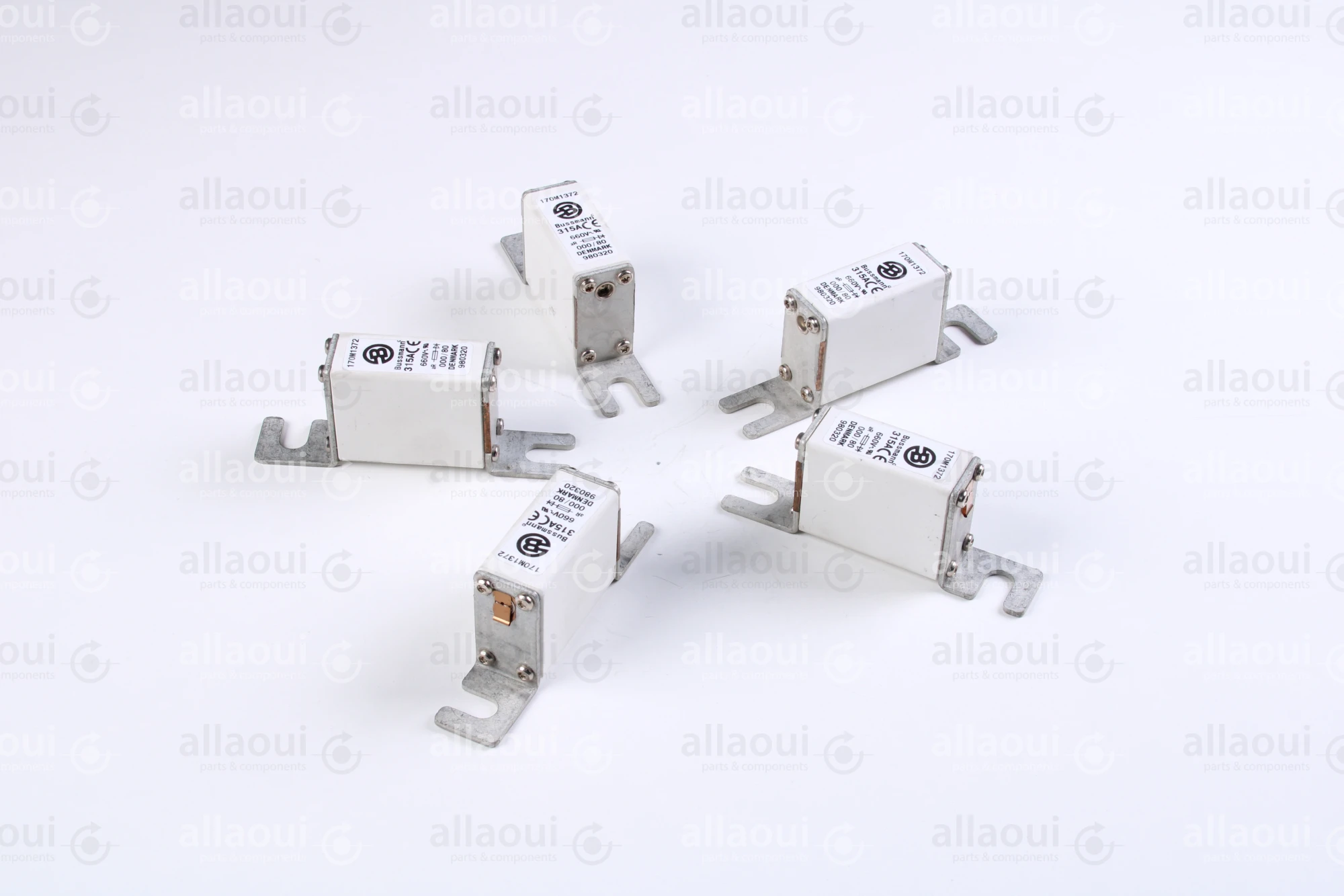 Bussmann Fuse 315A 660V (5 Pieces) 170 M 1372