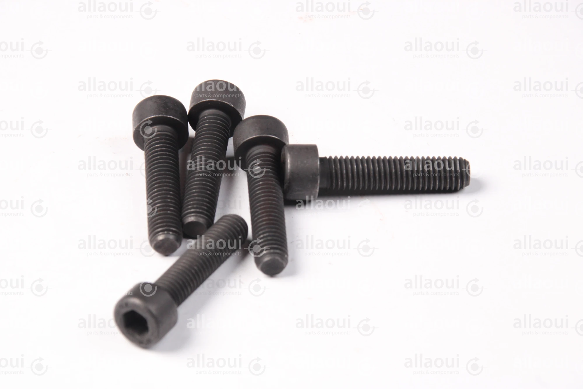 Manroland Cylinder Screw (5 pieces) 06.02093-0411