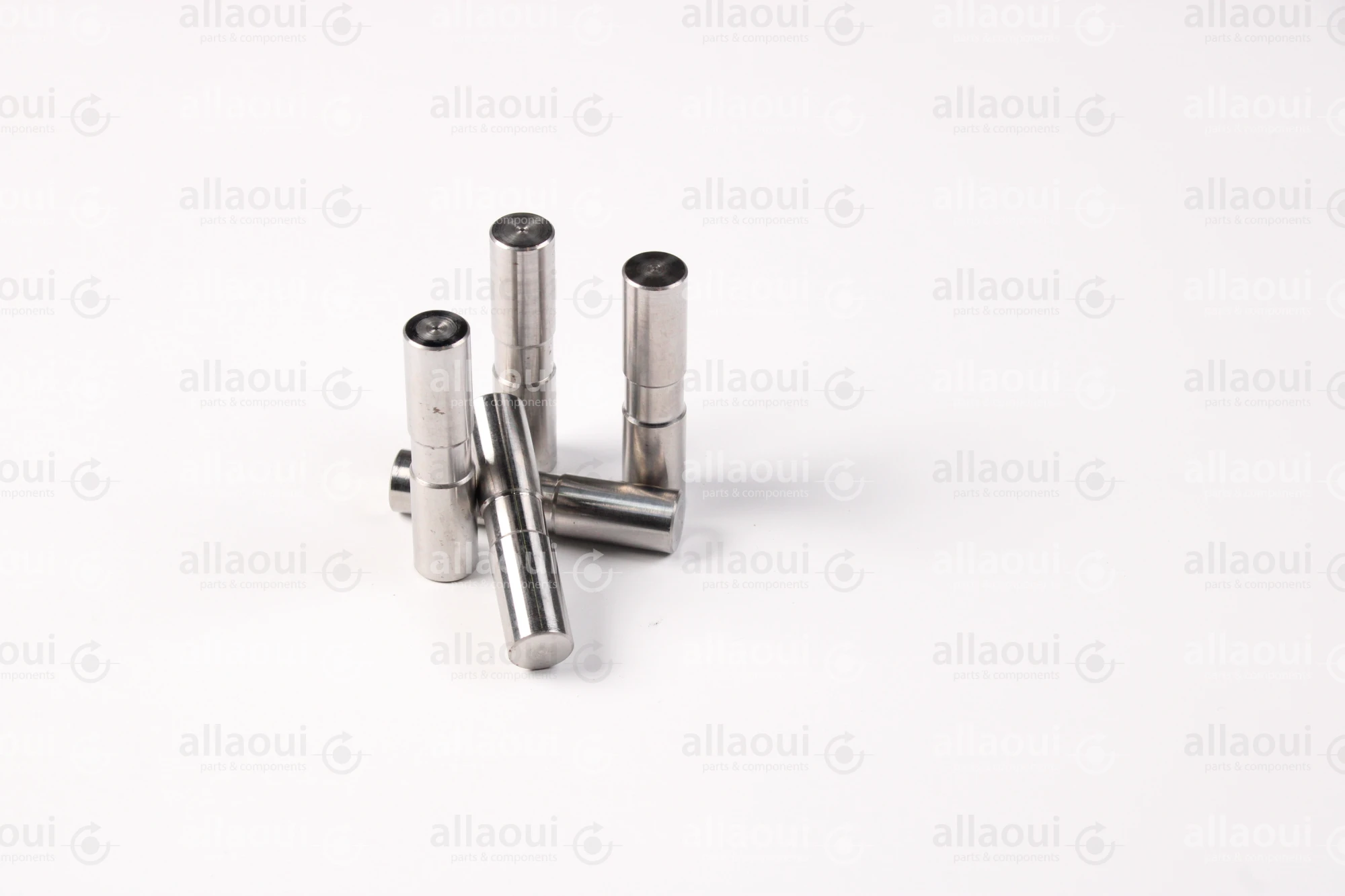 Ferag Axis (5 pieces) 31182226