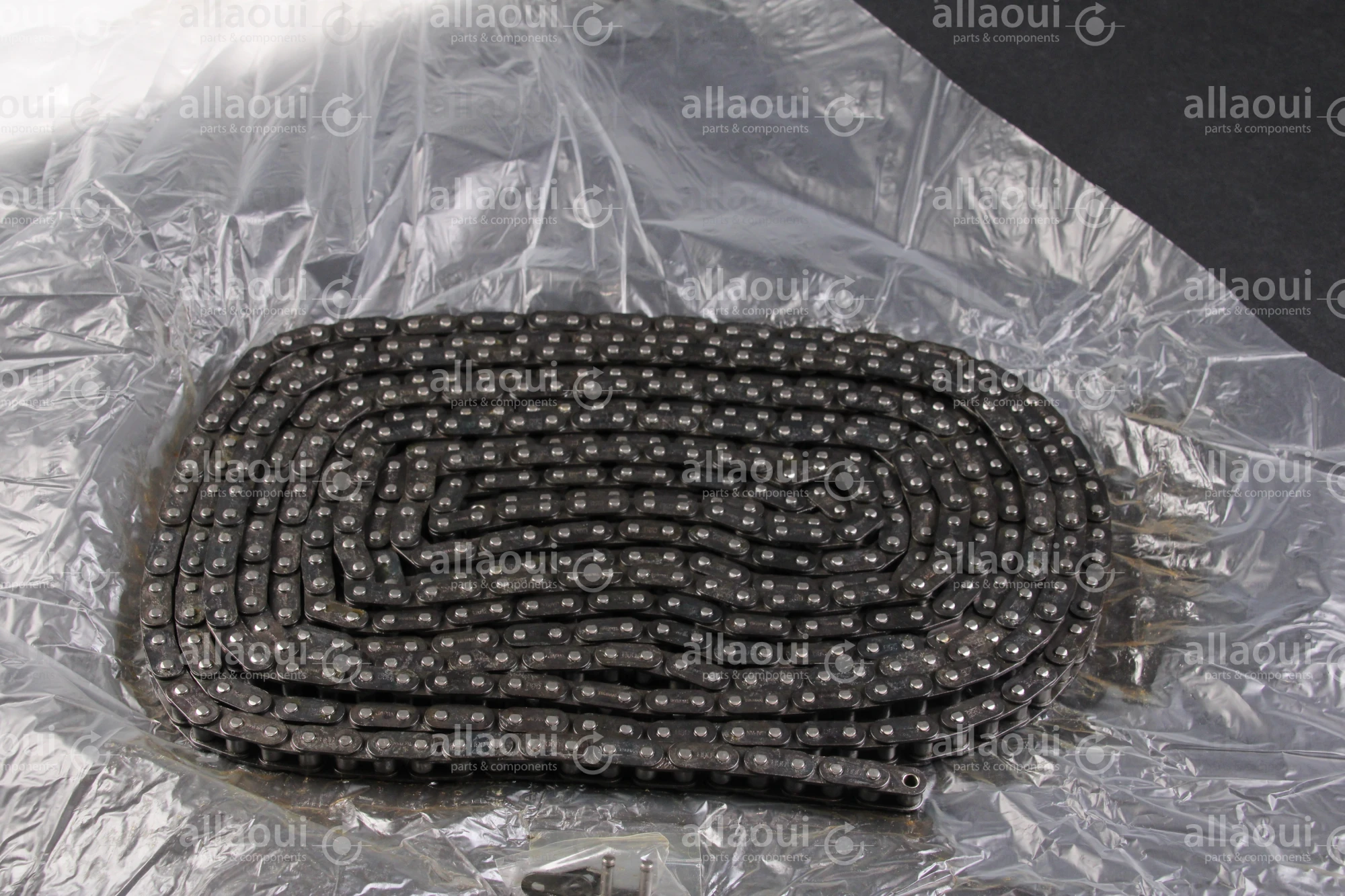 Tsubaki Roller Chain RF06B-1