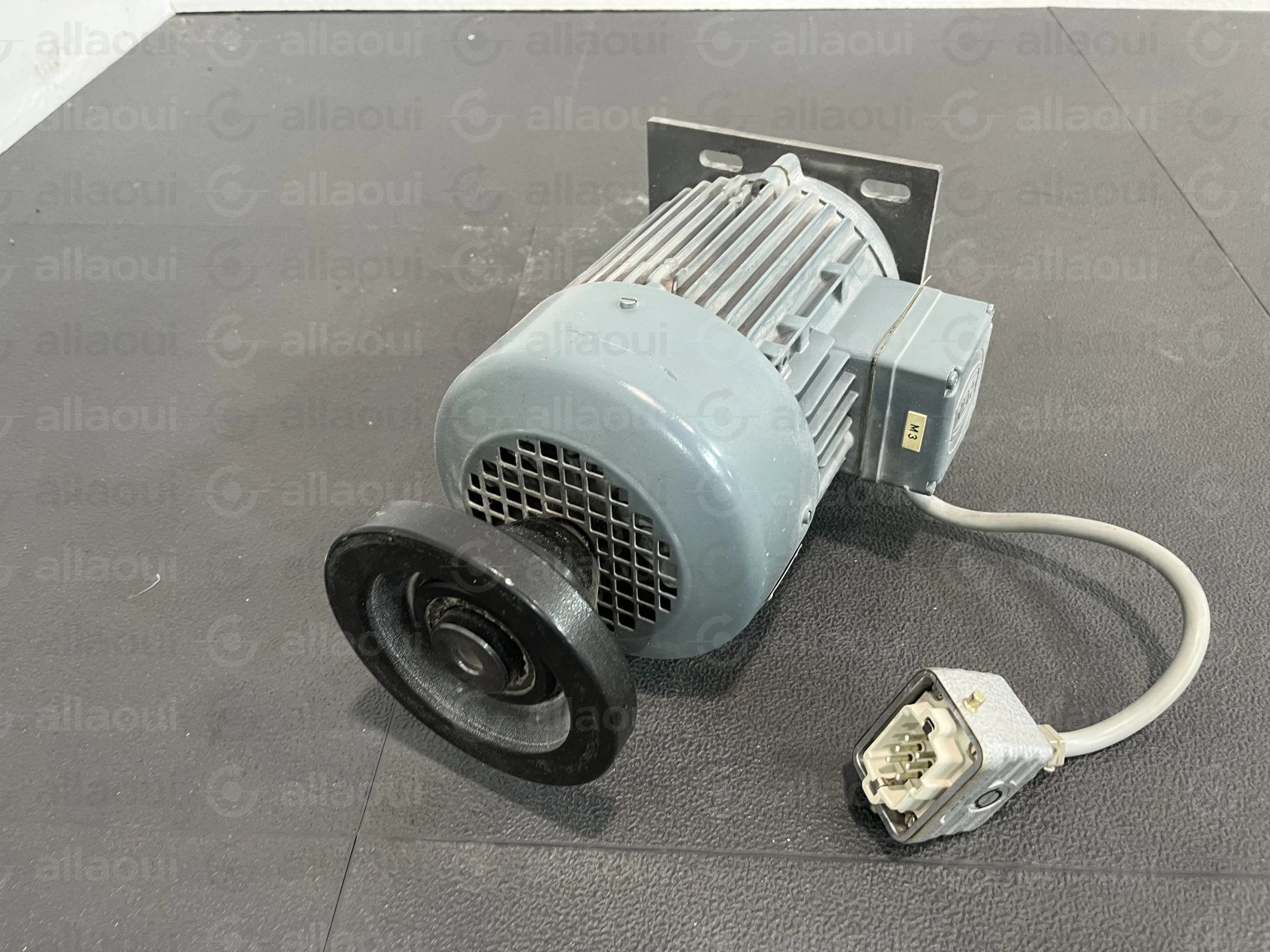 Dietz Sensortechnik Motor FWRB 80C/20