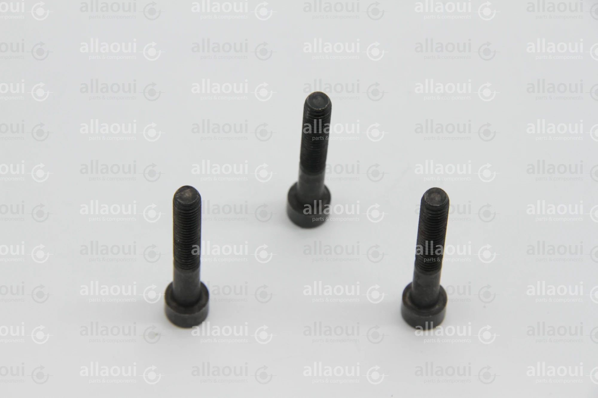 Müller Martini Allen head cyl. screw M6X40 (4 Pieces) 0030.0544