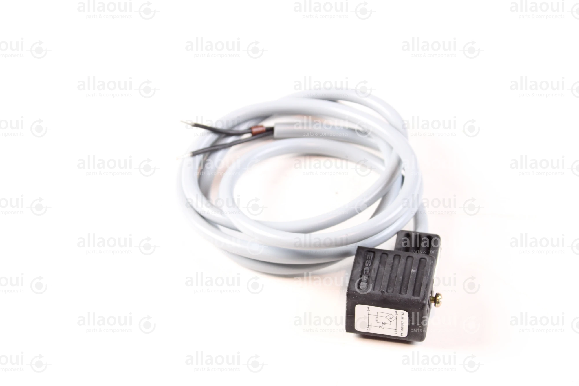 Escha 2-Pole Magnet Connector with Cable TBS20-2.048-1,2/P00