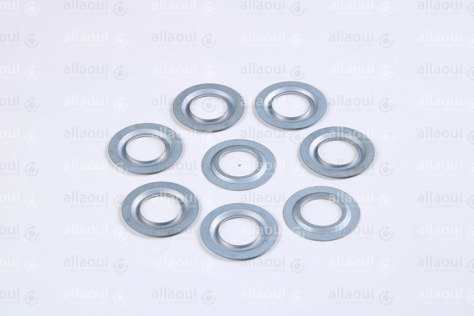 Müller Martini Sealing Ring 6202JV (8 Pieces) 0035.1767