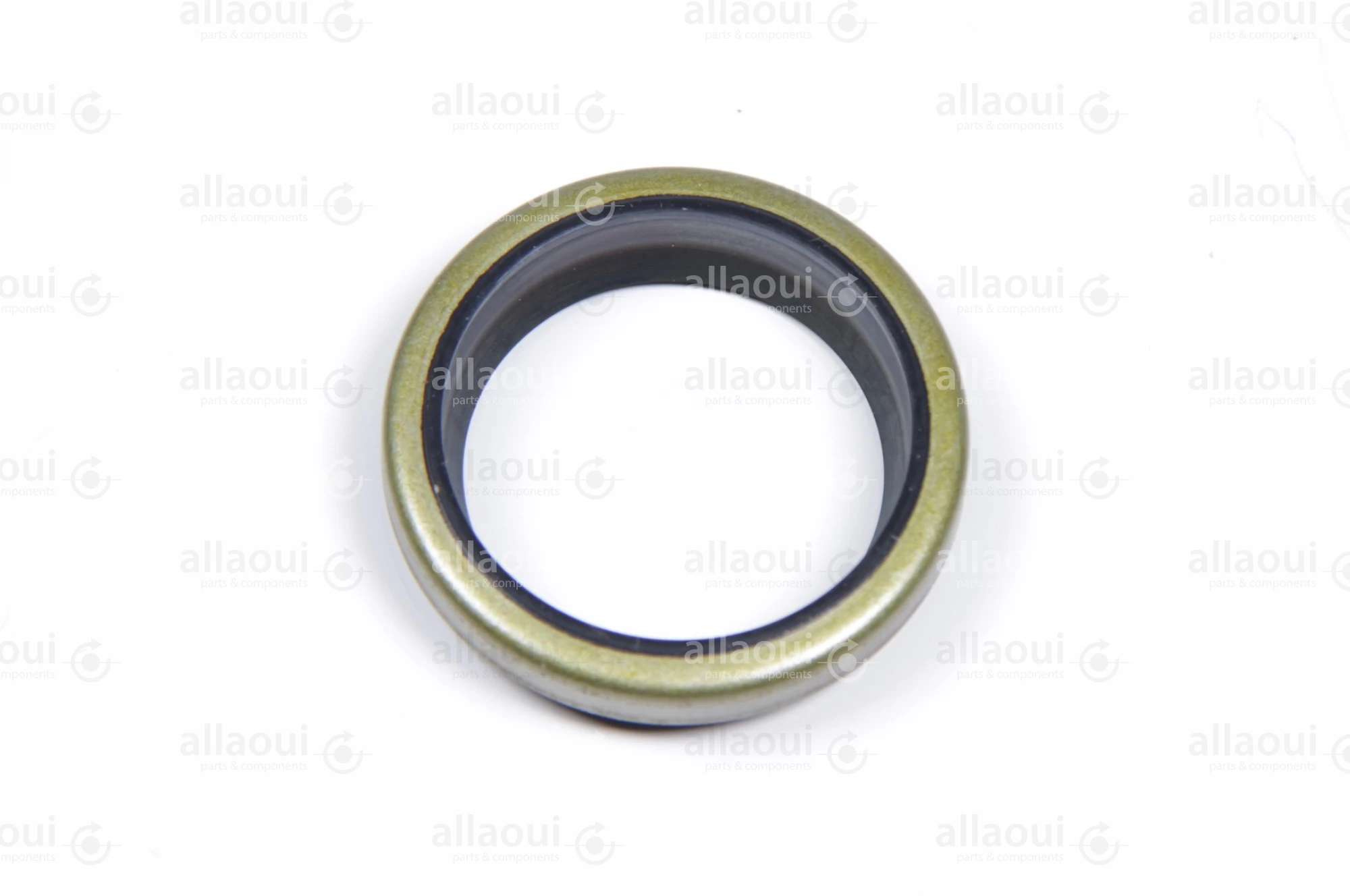 Heidelberg Remover QAN28x36 00.580.0189/