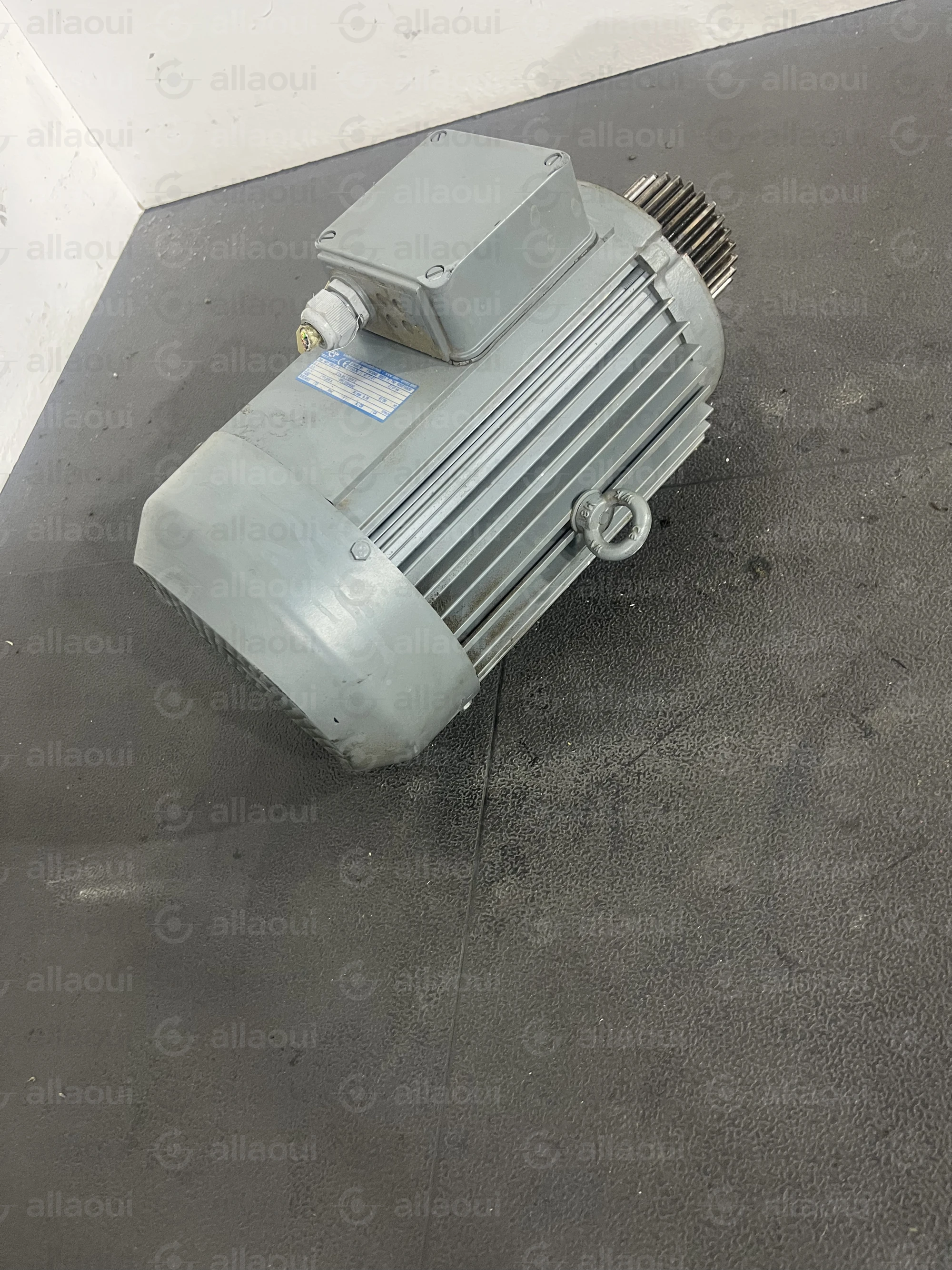 ABM Greiffenberger Motor 4DF100LC-4