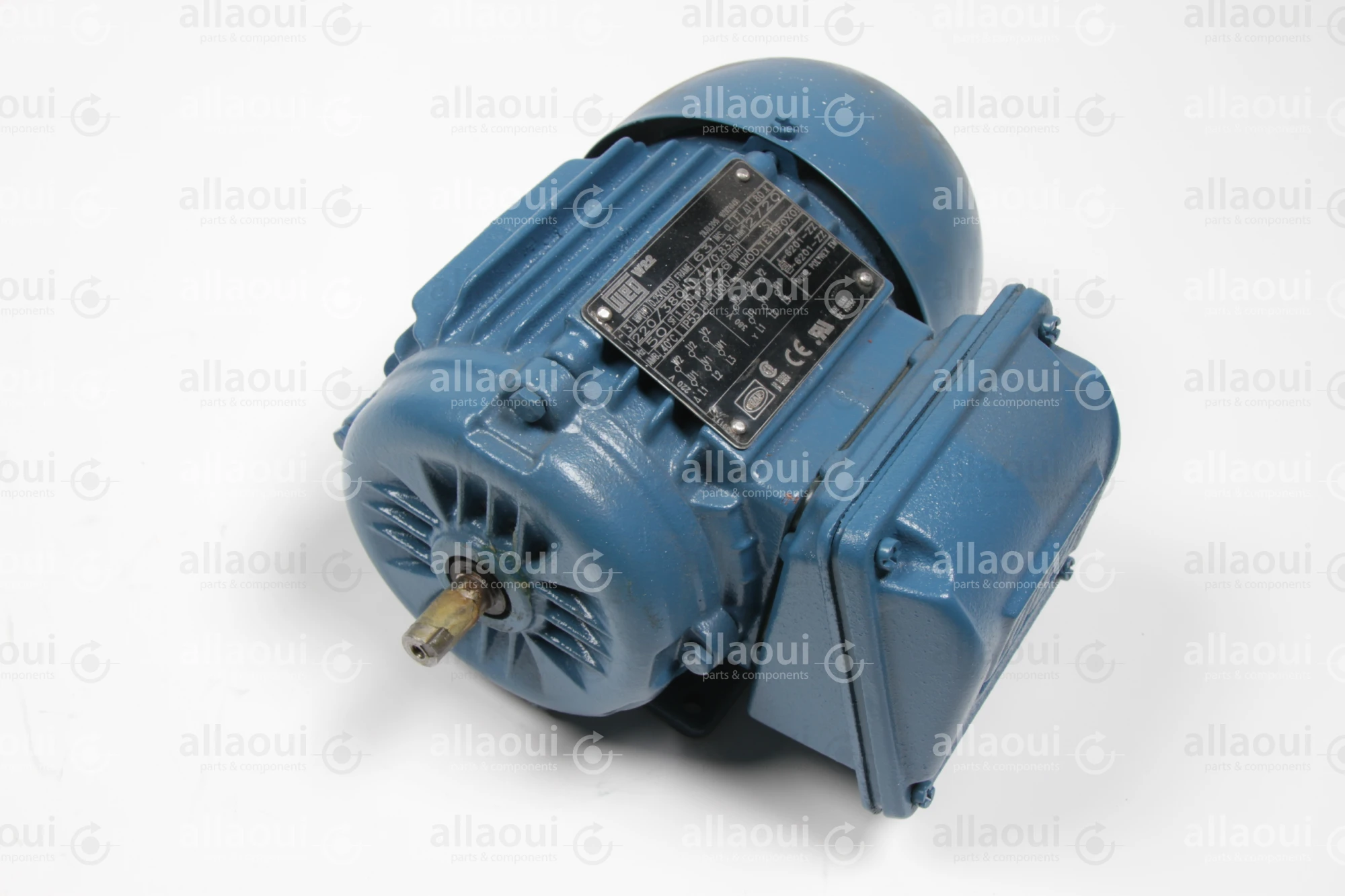 Weg Motor W22