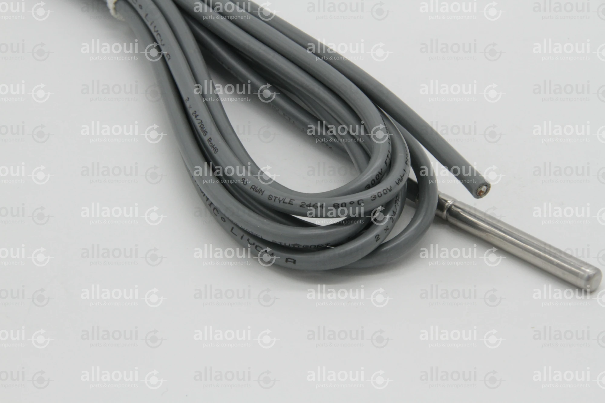 Heidelberg Temperature Sensor SA196173601