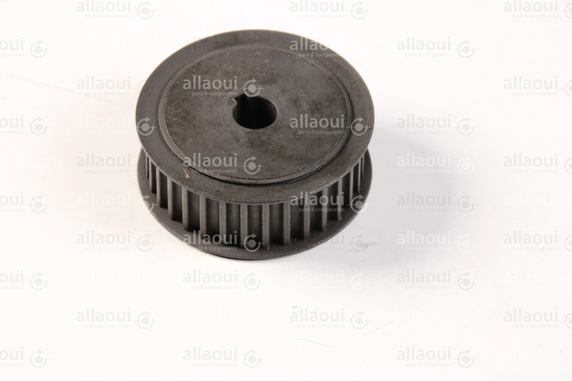 RIMA System Pulley 500621331