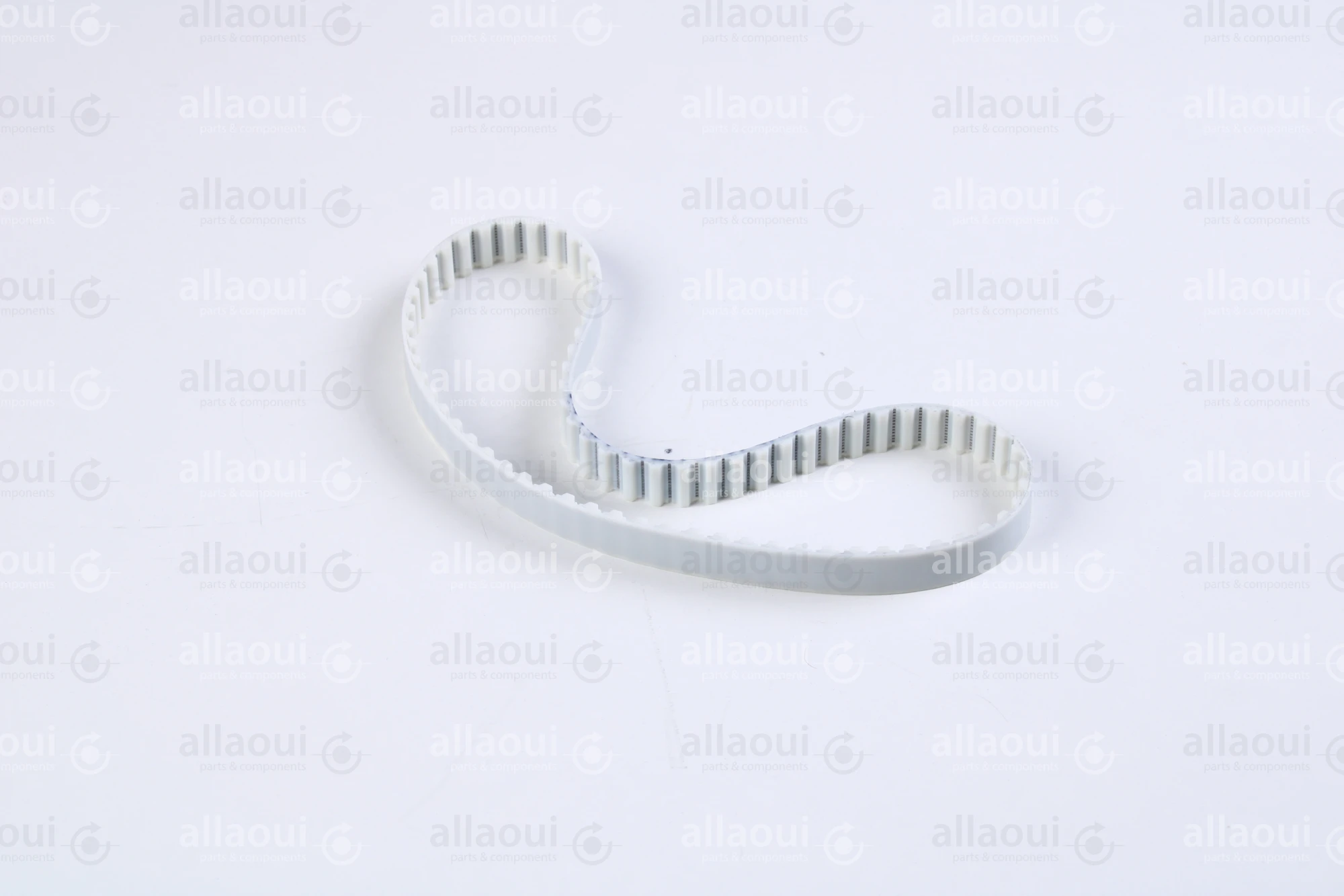 Müller Martini Toothed Belt 3672.1619.4