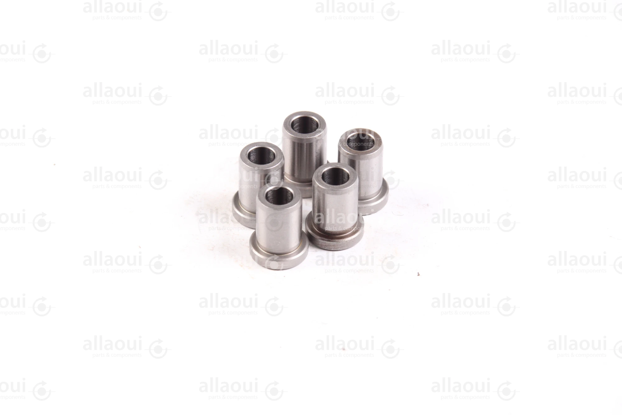 Ludwig Meister DIN 172 Guide Bushings(5 Pieces) 480-DIN172-B6-16-A