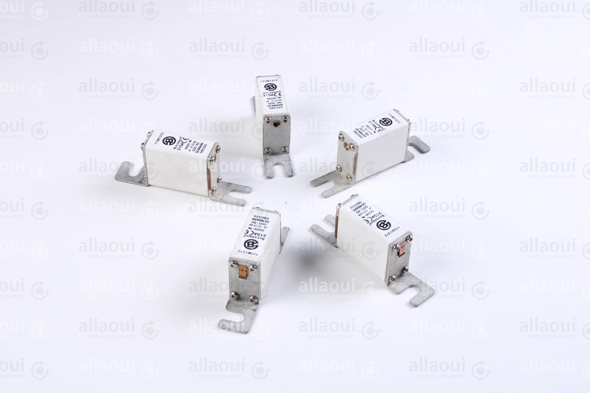 Bussmann Fuse 315A 660V (5 Pieces) 170 M 1372