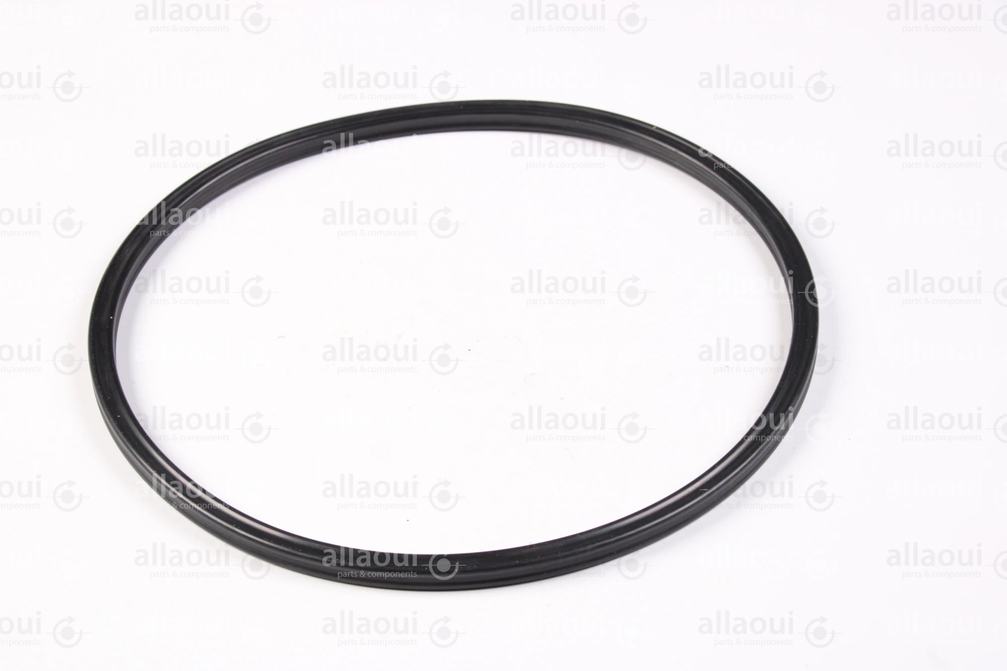 Contiweb Sealing Ring WH.092000916