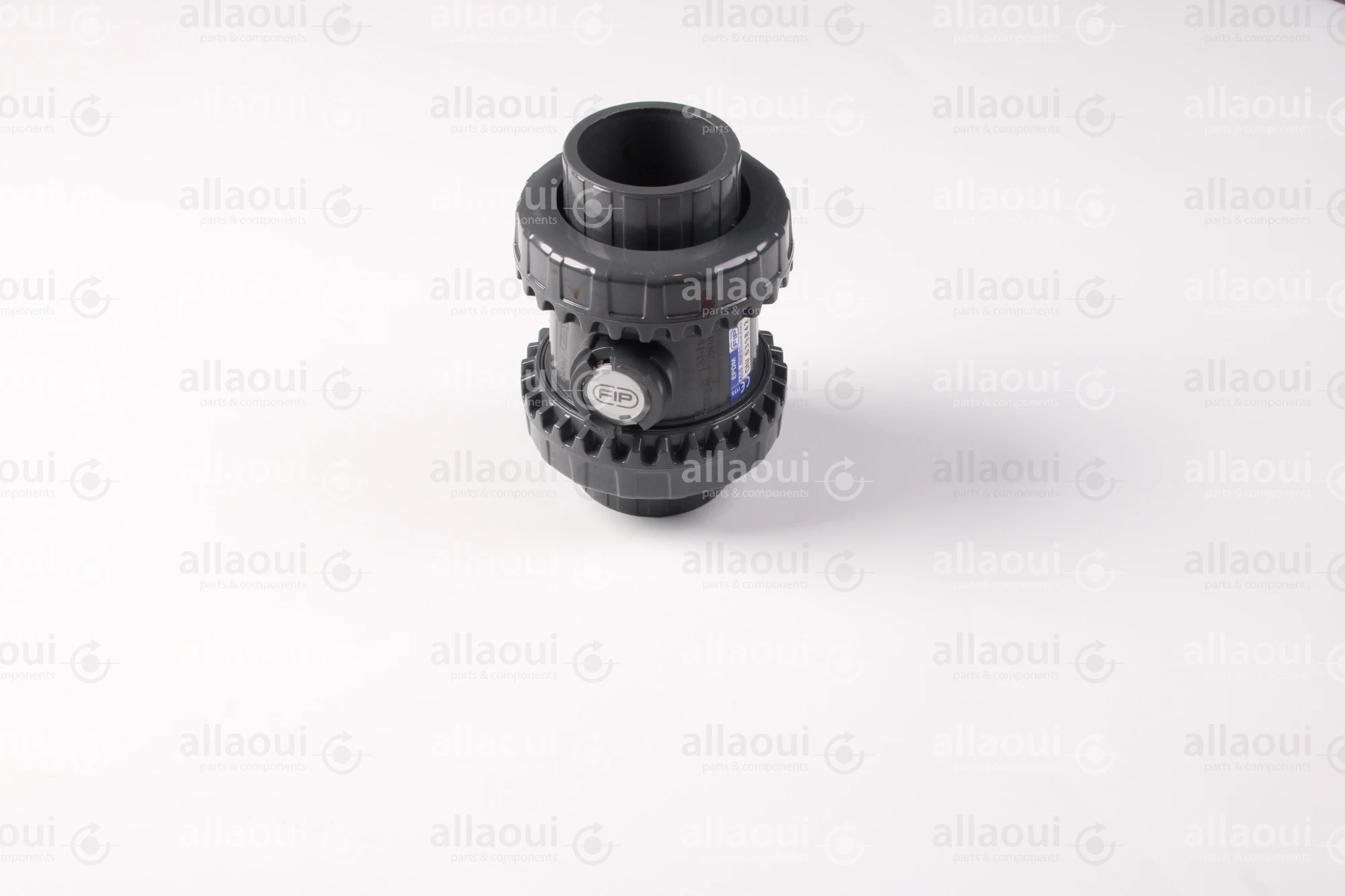 Technotrans Ball Check Valve 10044463