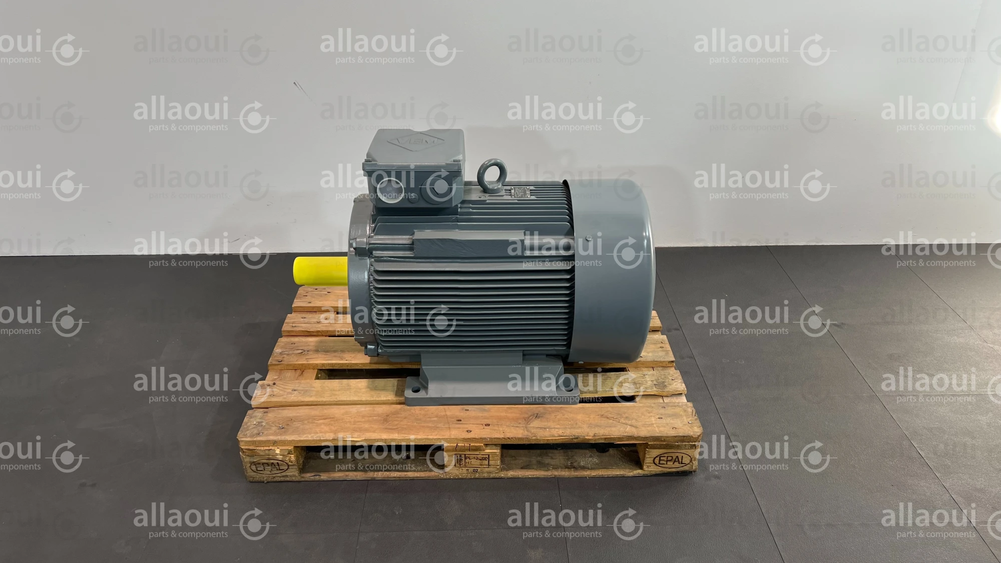 VEM Motor IE2-WE1R 280M 4 LL TPM HW