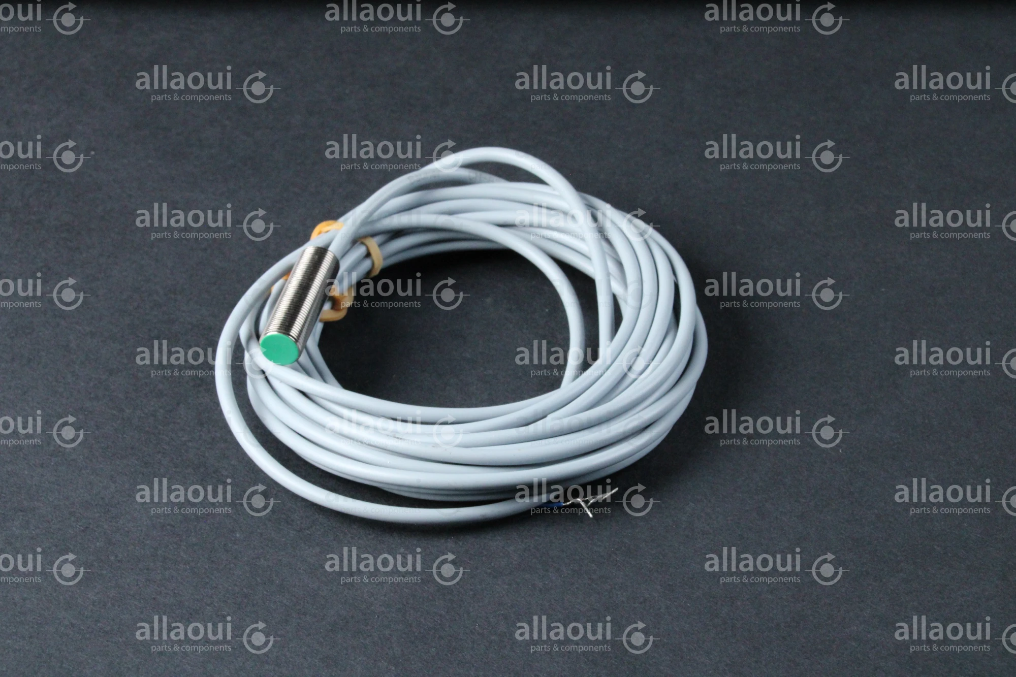 Baumer Inductive Sensor IFRM 12P17/404919