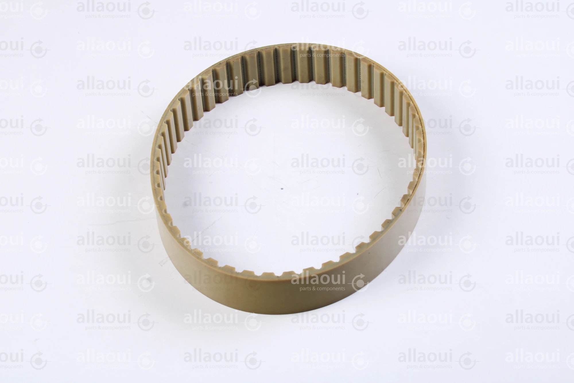 Müller Martini Timing Belt 3646.1267.4